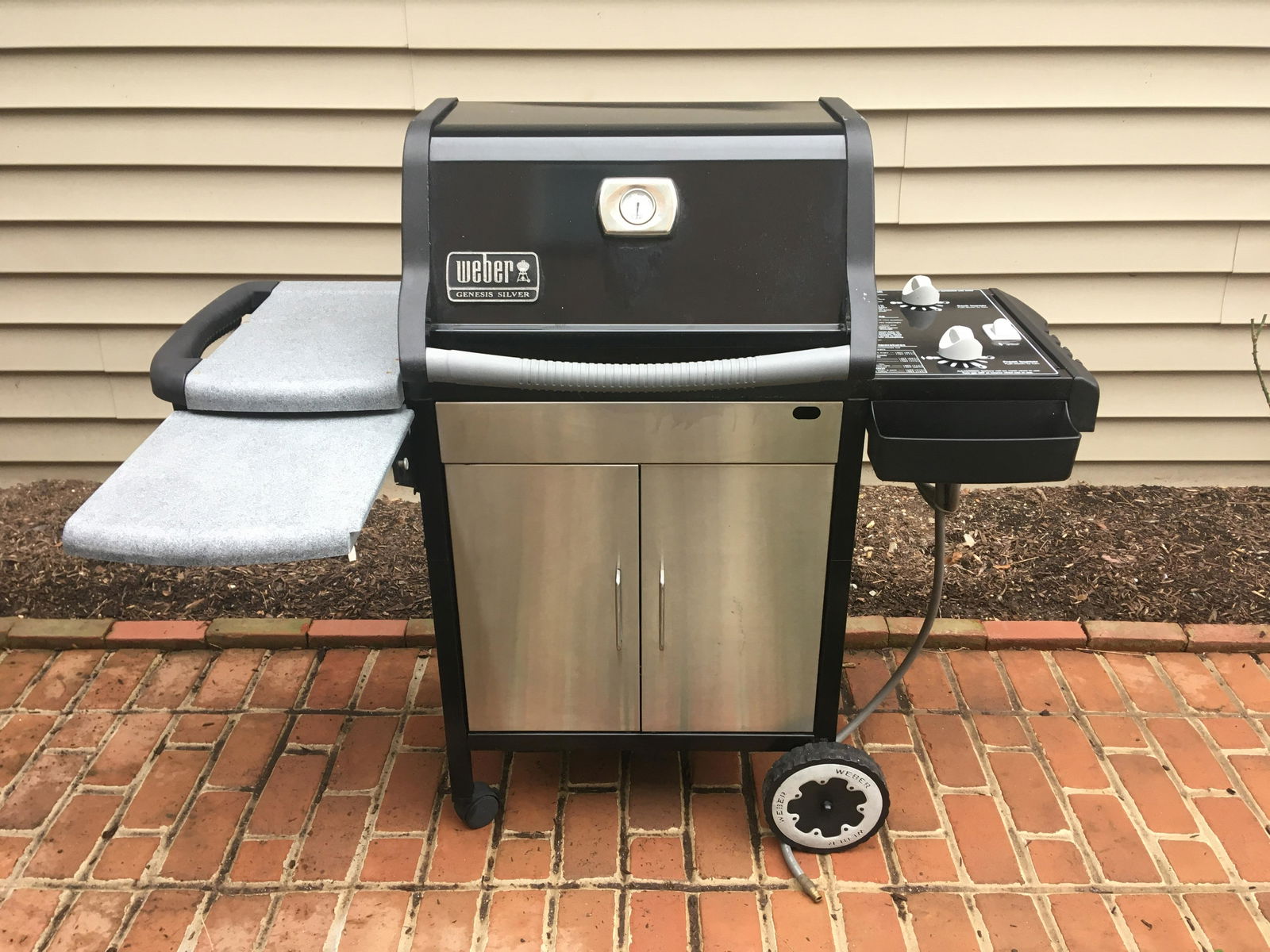 Weber Genesis Stainless Steel Grill (1 of 5)