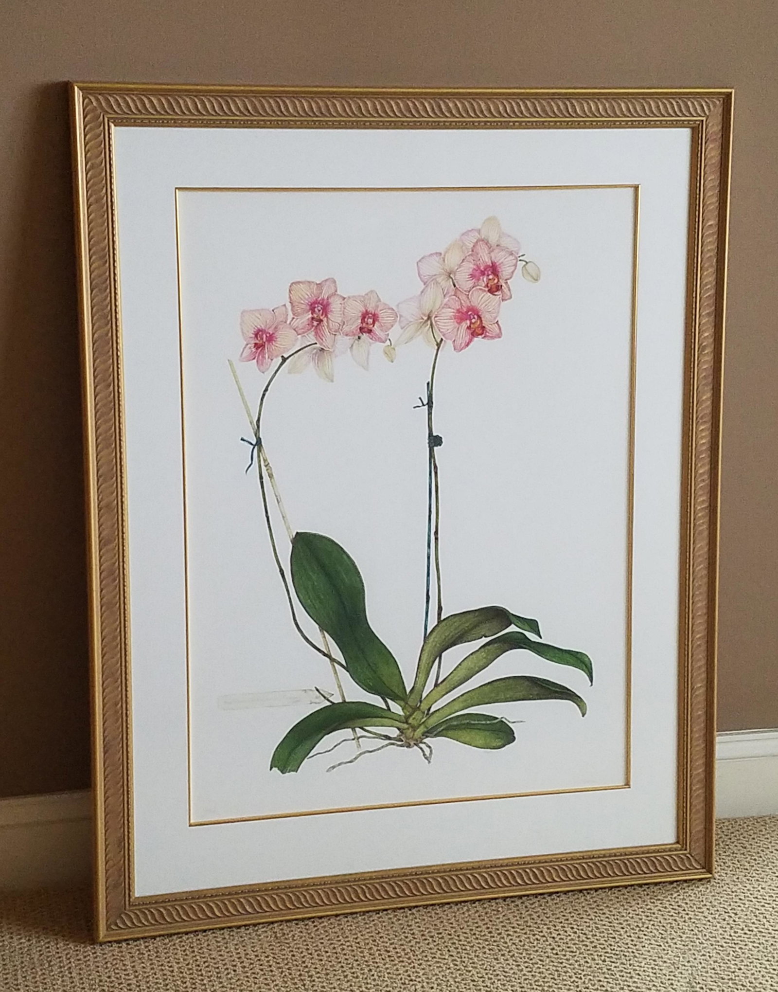 P. A. Kessler Orchid Watercolor: Edition 3 / 95. Pencil signed. "Phal. Baldan's Kaleidoscope 'Golden Treasure' AM / AOS". Overall with frame 41" high x 32-1/2" wide.