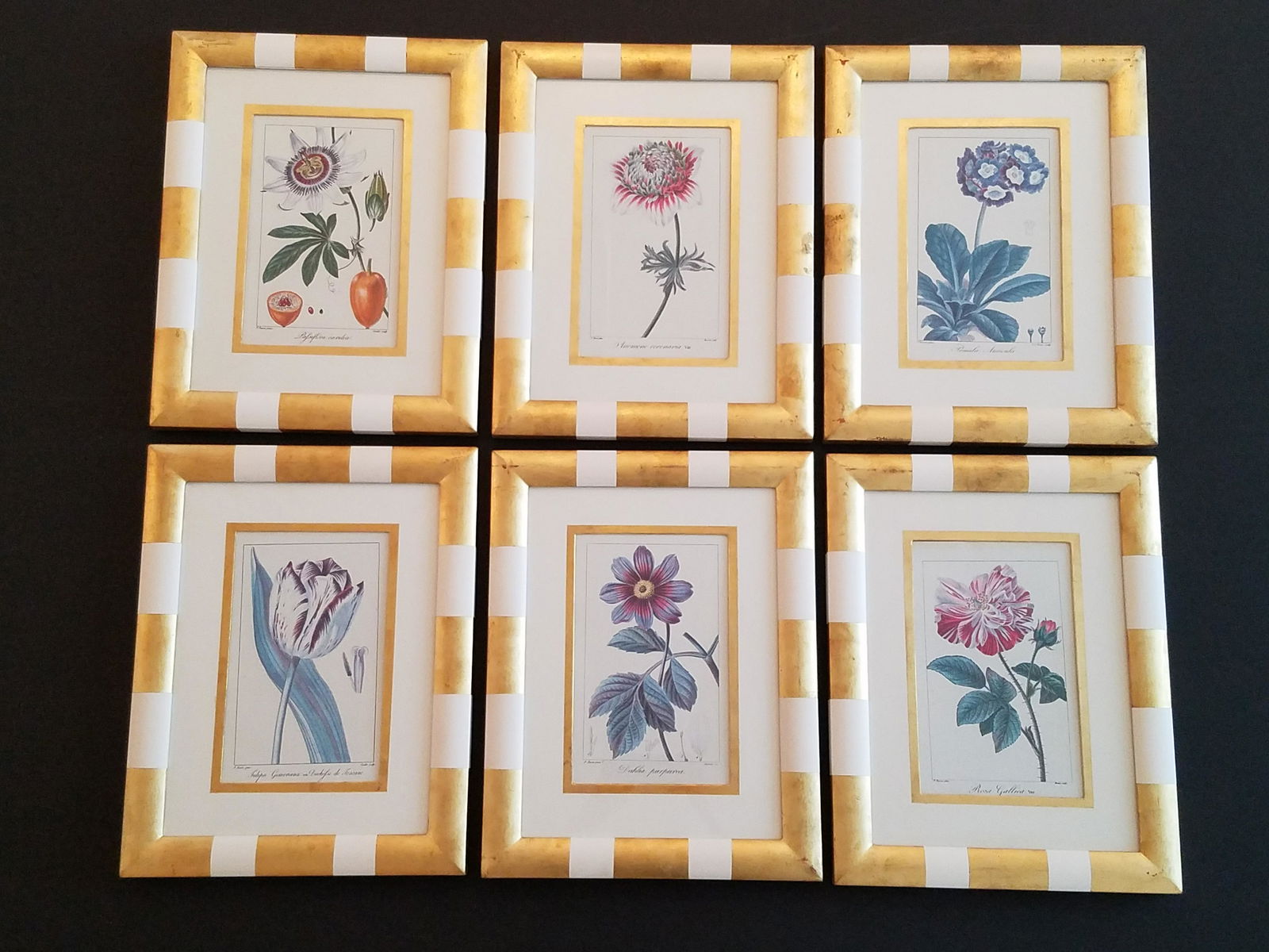 6 P. Bessa Botanical Prints (1 of 6)