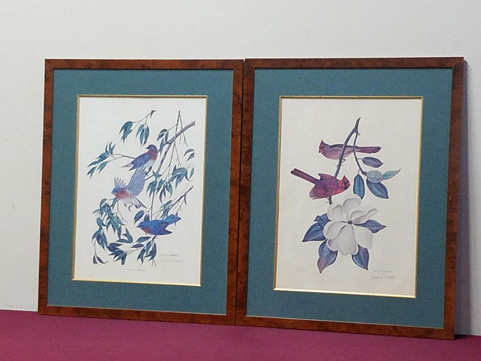 2 John Ruthven's Limited Edition Bird Prints (1 of 11)