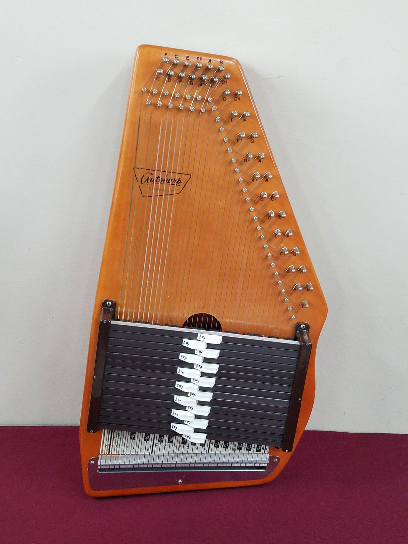 Oscar Schmidt Autoharp (1 of 4)