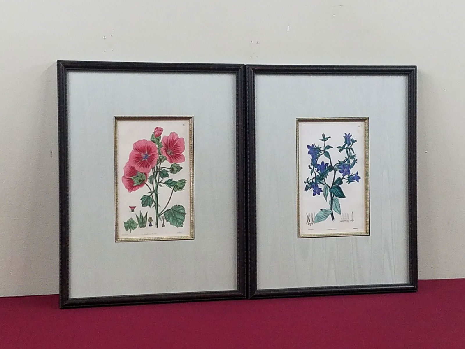 2 19 C Ed Smith Botanical Prints (1 of 7)