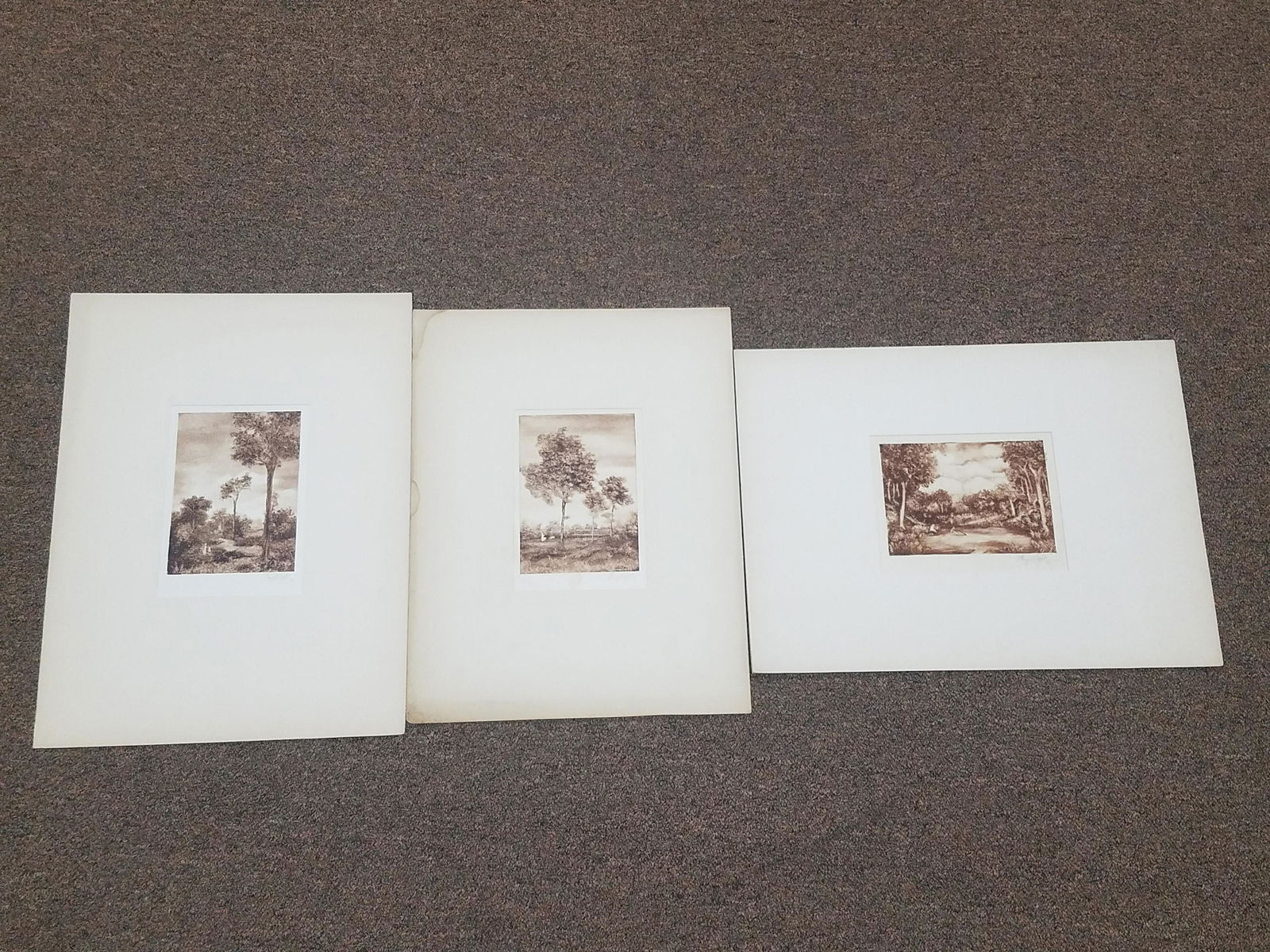 3 Henry Ames Wight Tree Etchings (1 of 5)