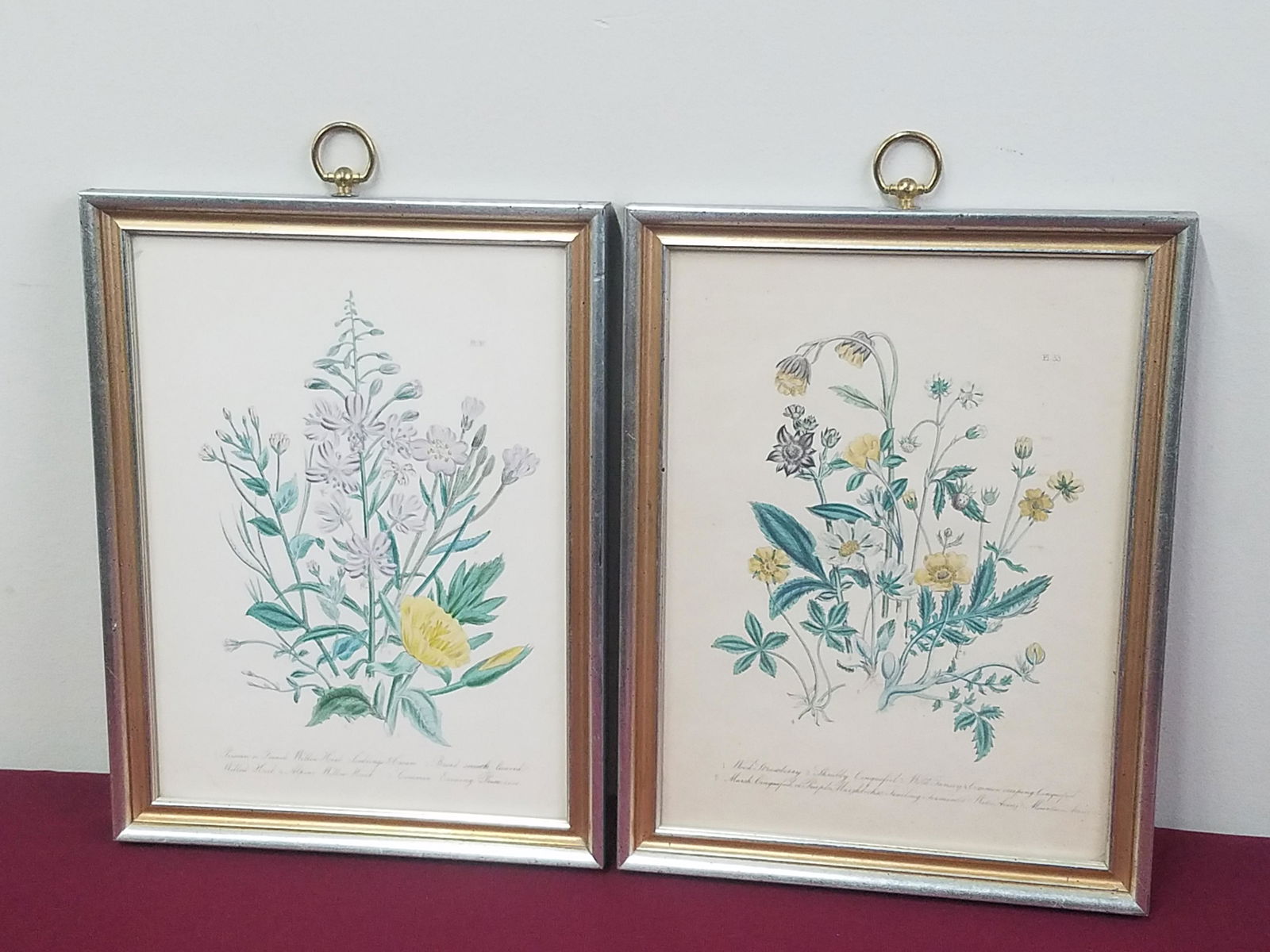 2 Botanical Prints (1 of 3)
