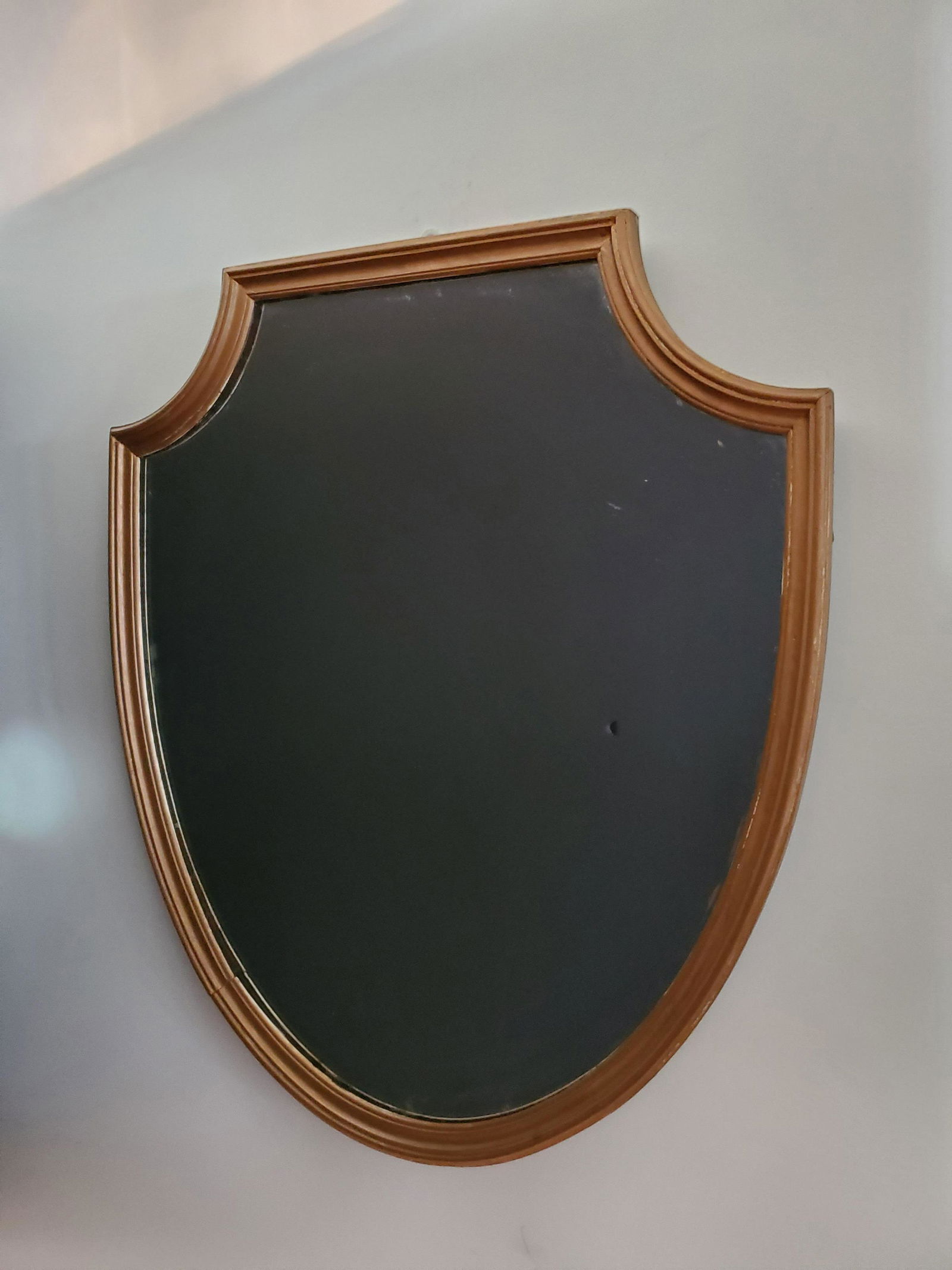 Shield Mirror (1 of 1)