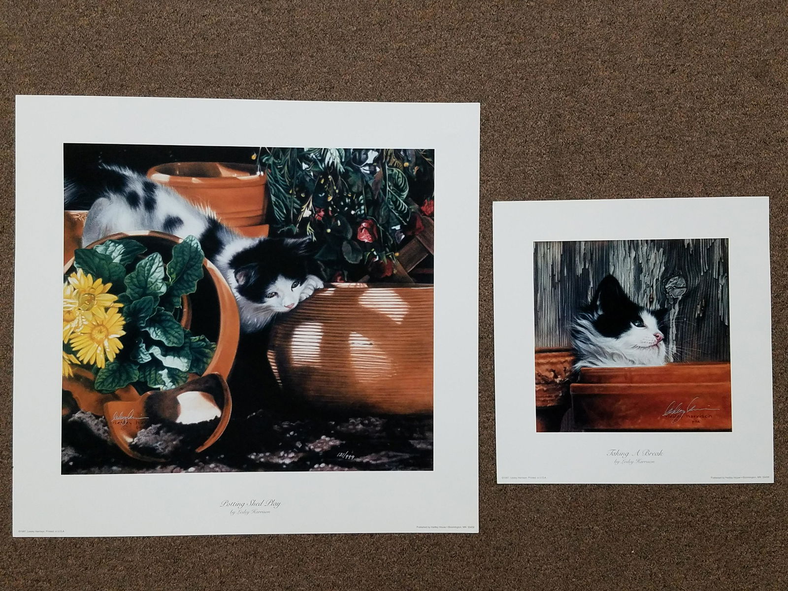 2 Lesley Harrison Cat Prints (1 of 4)