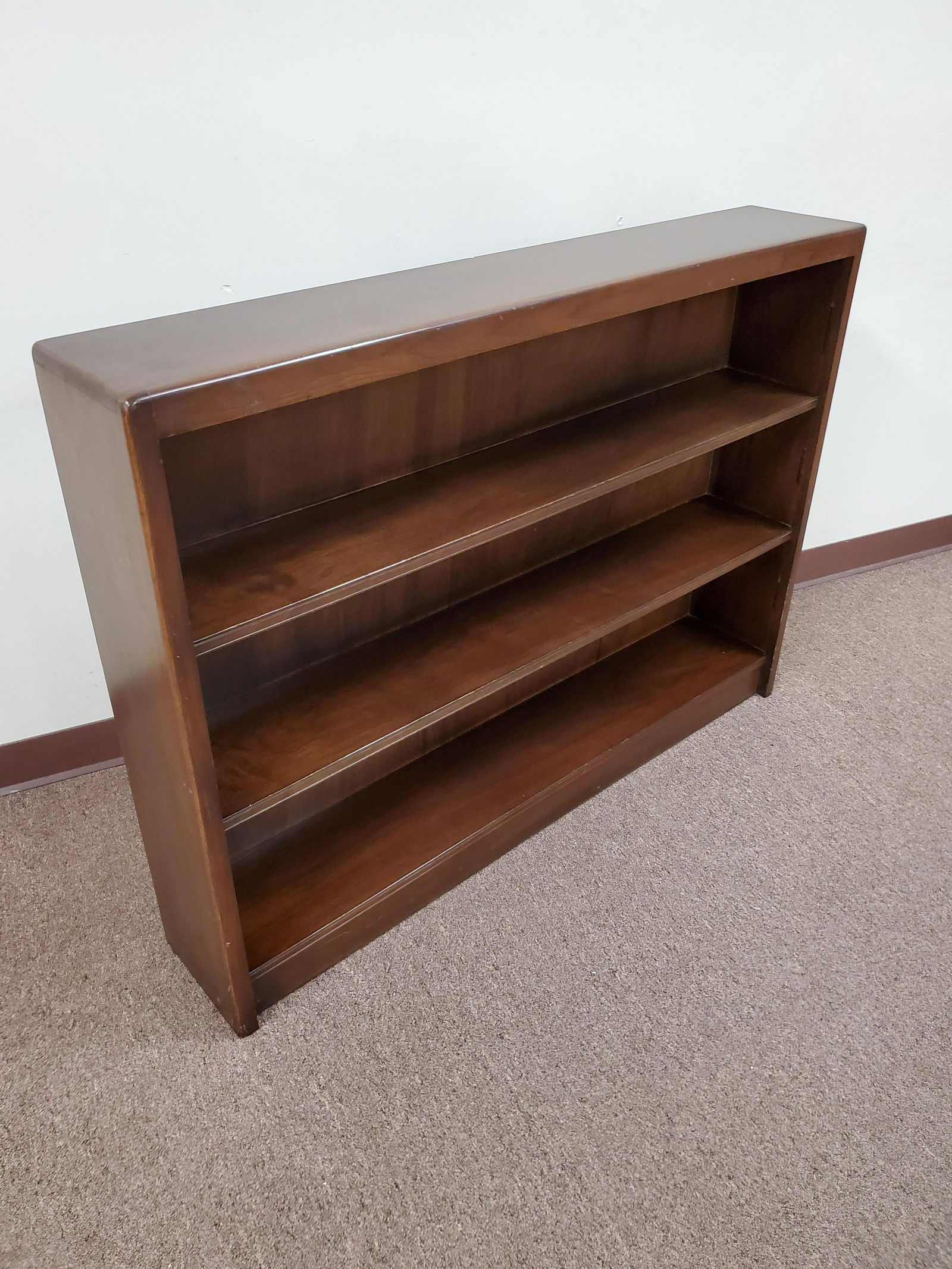 Low Book Shelf (1 of 2)