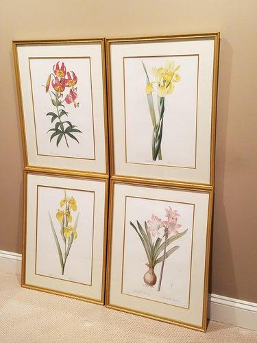 Botanical Prints incl. Iris (1 of 9)