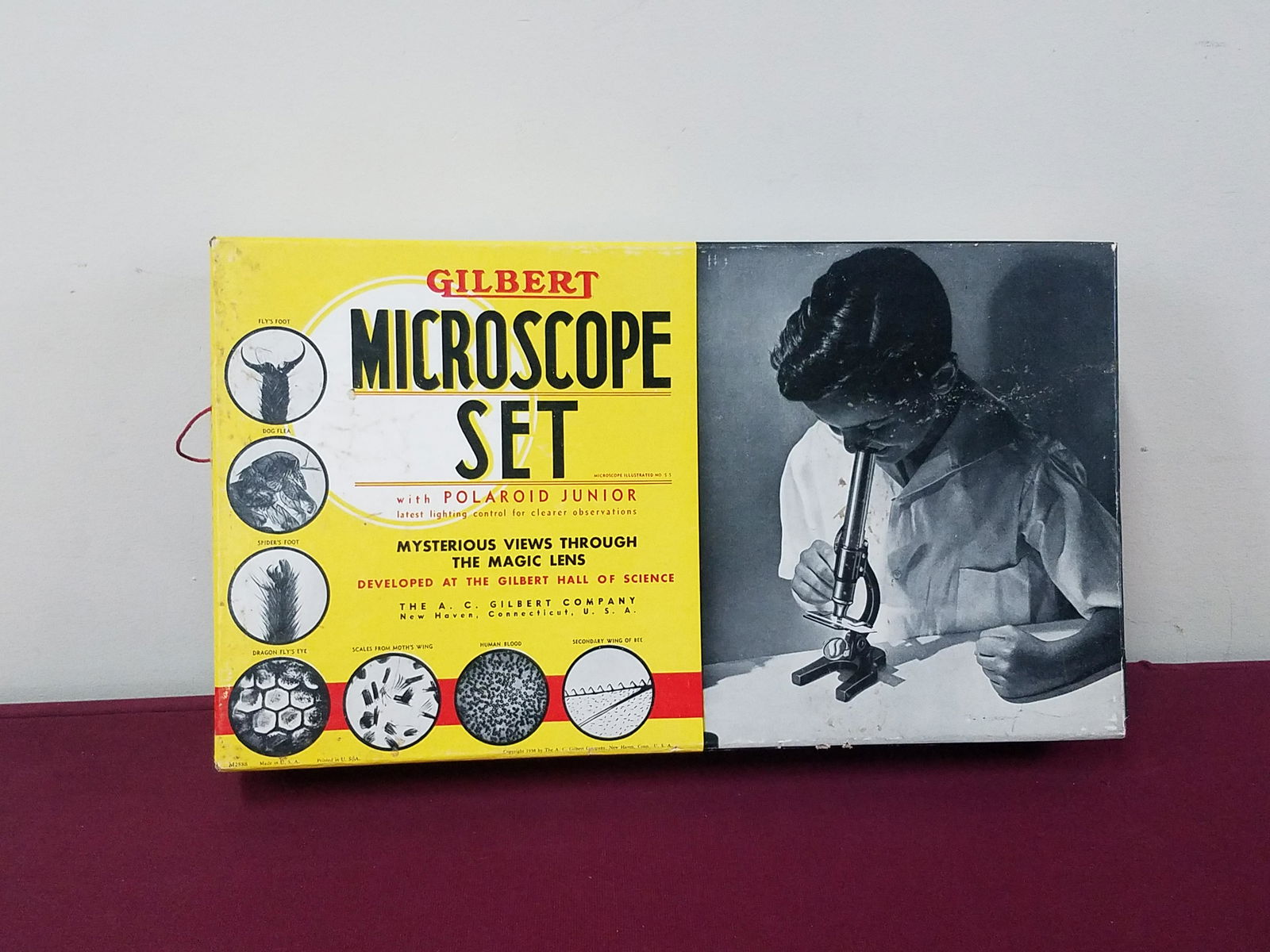 Gilbert Microscope Set (1 of 5)
