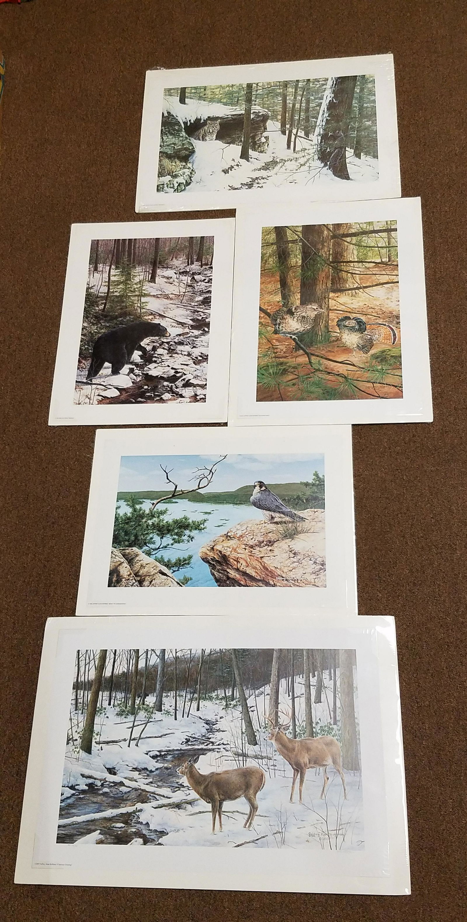 5 Jeffrey A Hoffman Wildlife Prints: All pencil signed. All edition number 45 / 50. 20" to 34" wide x 21" to 29-3/4" high. All unframed. IMPORTANT: Before bidding, please read the terms and conditions below. When you registered for the a