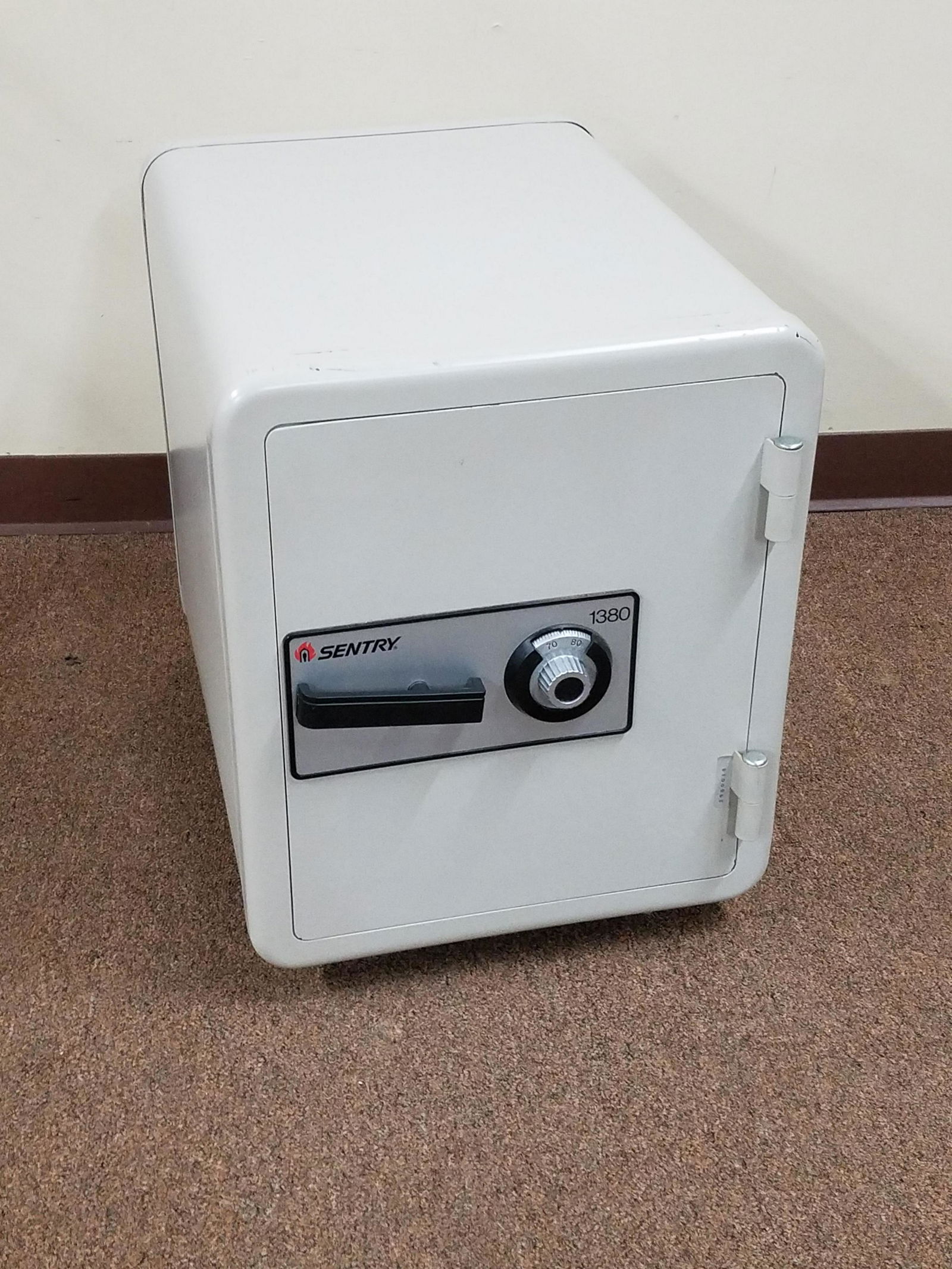 Sentry Safe (1 of 3)