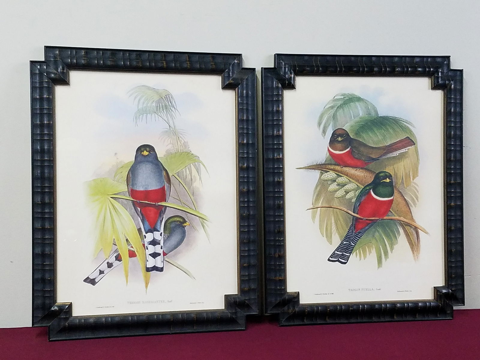 J. Gould and Richter Bird Prints (1 of 6)