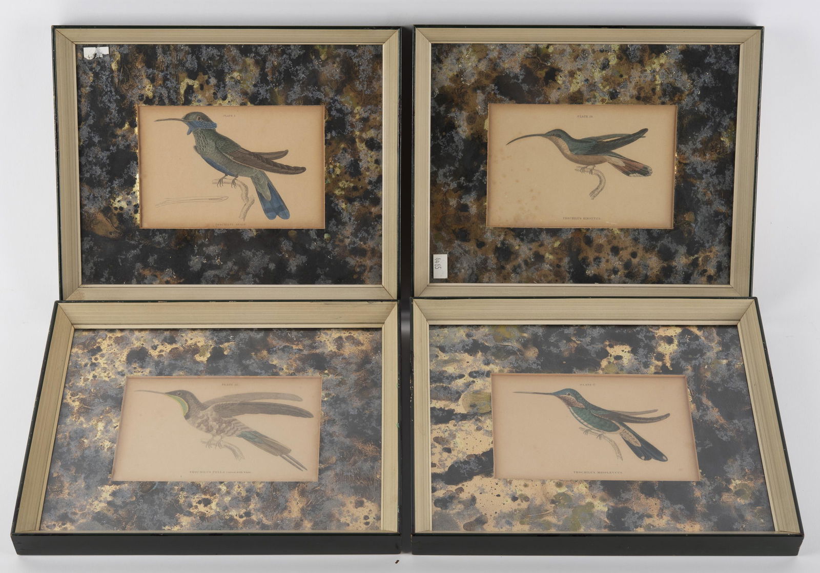 4 19th C. William Jardine Hummingbird Prints (1 of 7)