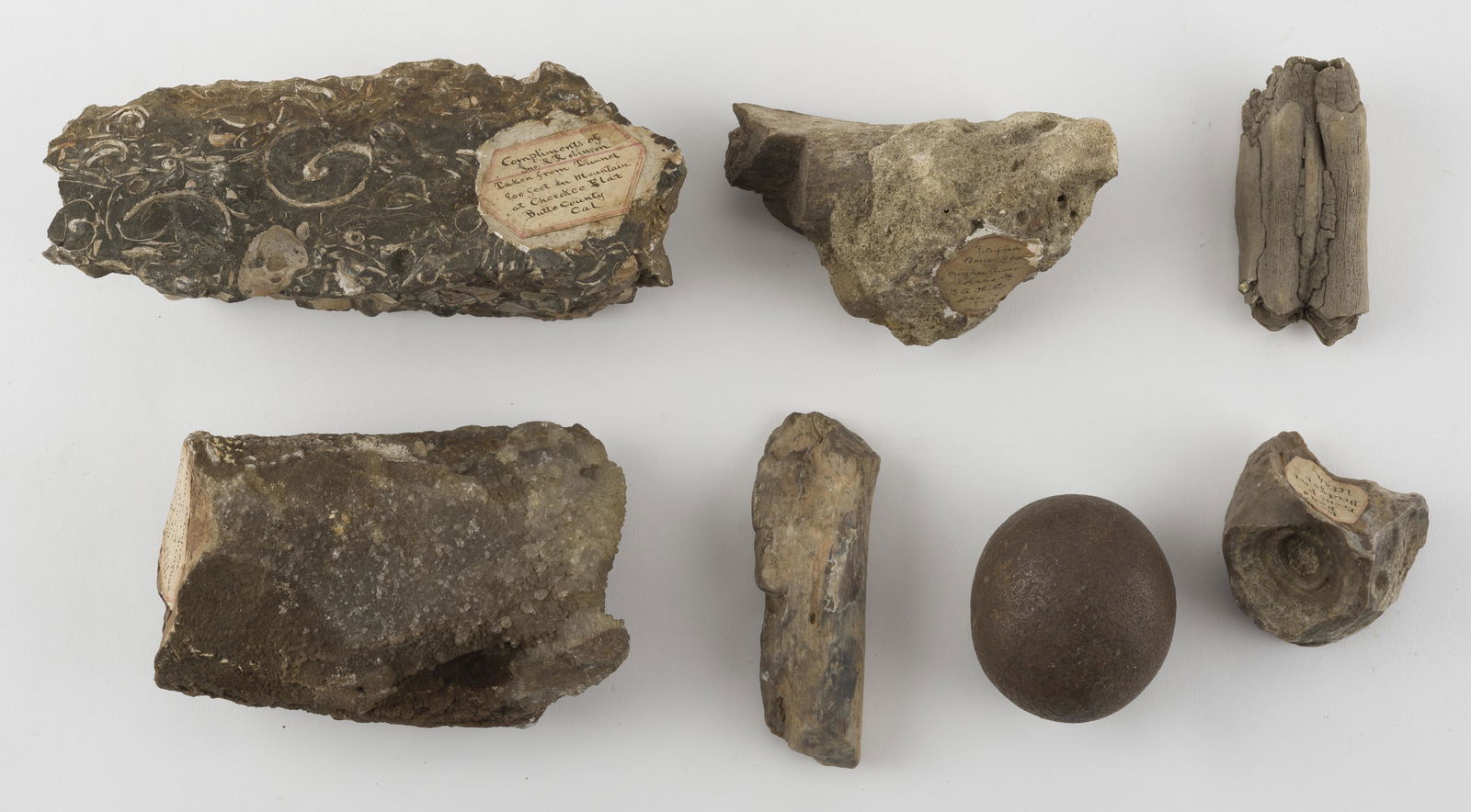 7 Geologic Specimens incl Fossil Tongue: Includes fossilized tongue found near Bryan Wyoming Union Pacific Railroad 1871, fossilized bone found near Bridger Utah, Petrified bone found in Idaho in 1870, a fossil specimen from Cherokee Flat Ca