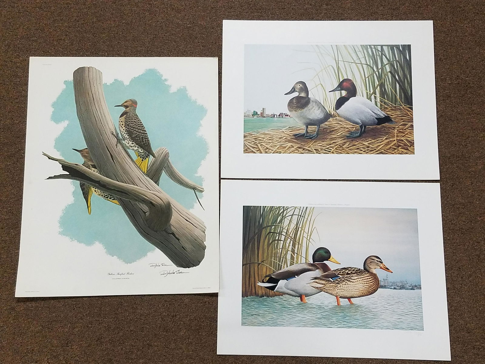 14 Wildlife Limited Edition Prints (1 of 20)