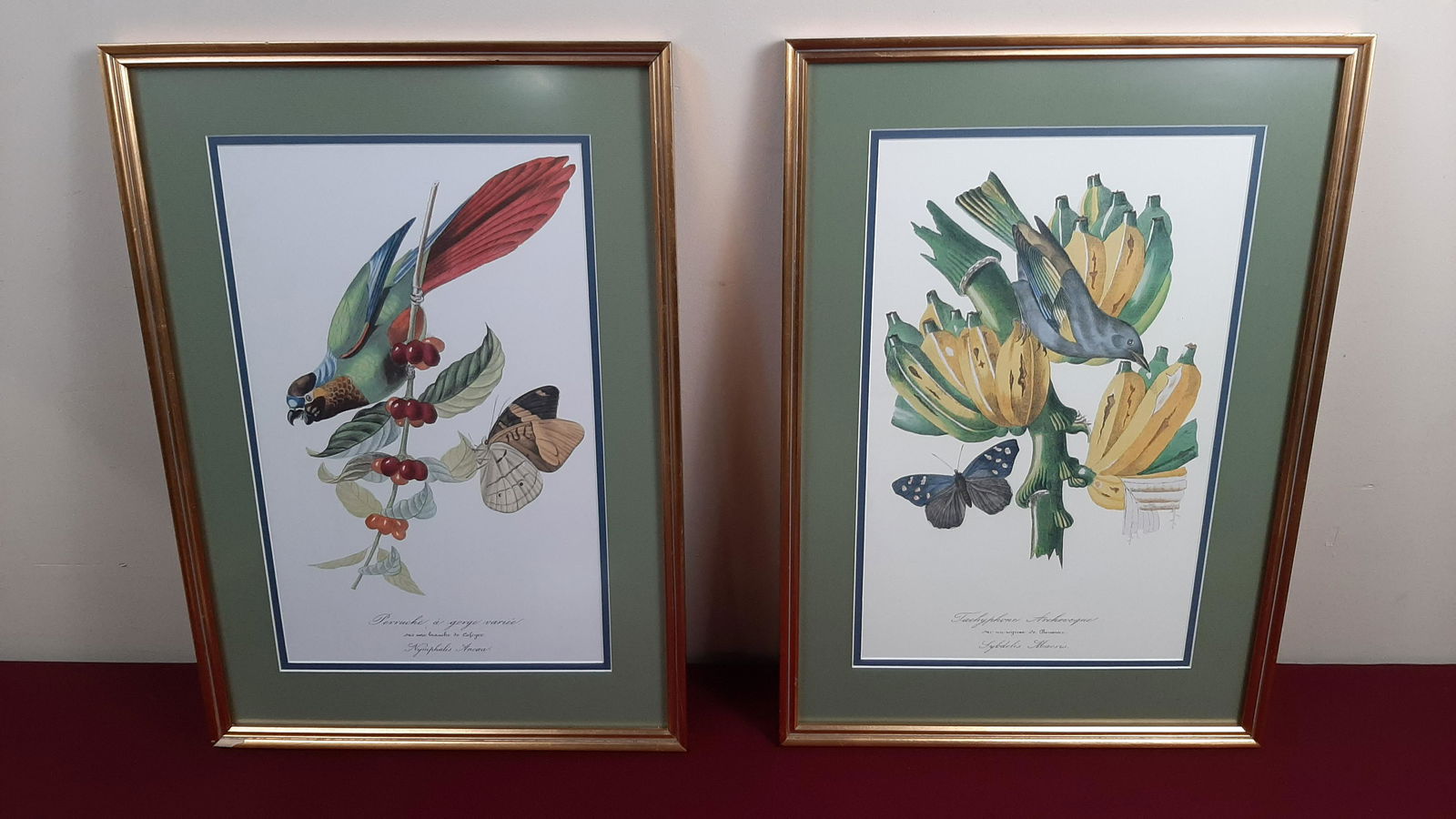 Pr Nature Prints (1 of 3)