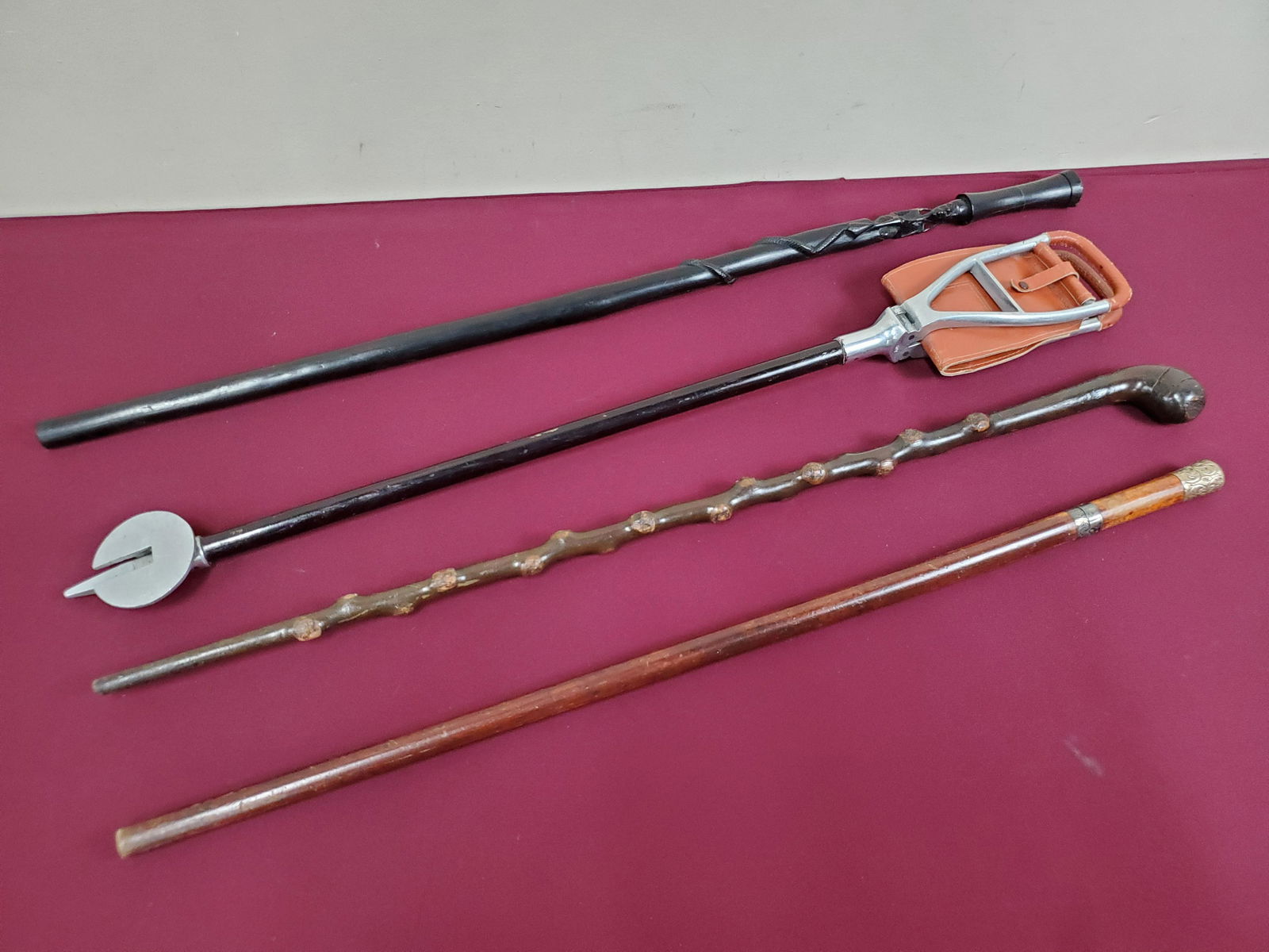 3 Walking Sticks and  Mogo Seat / Walking Stick (1 of 4)