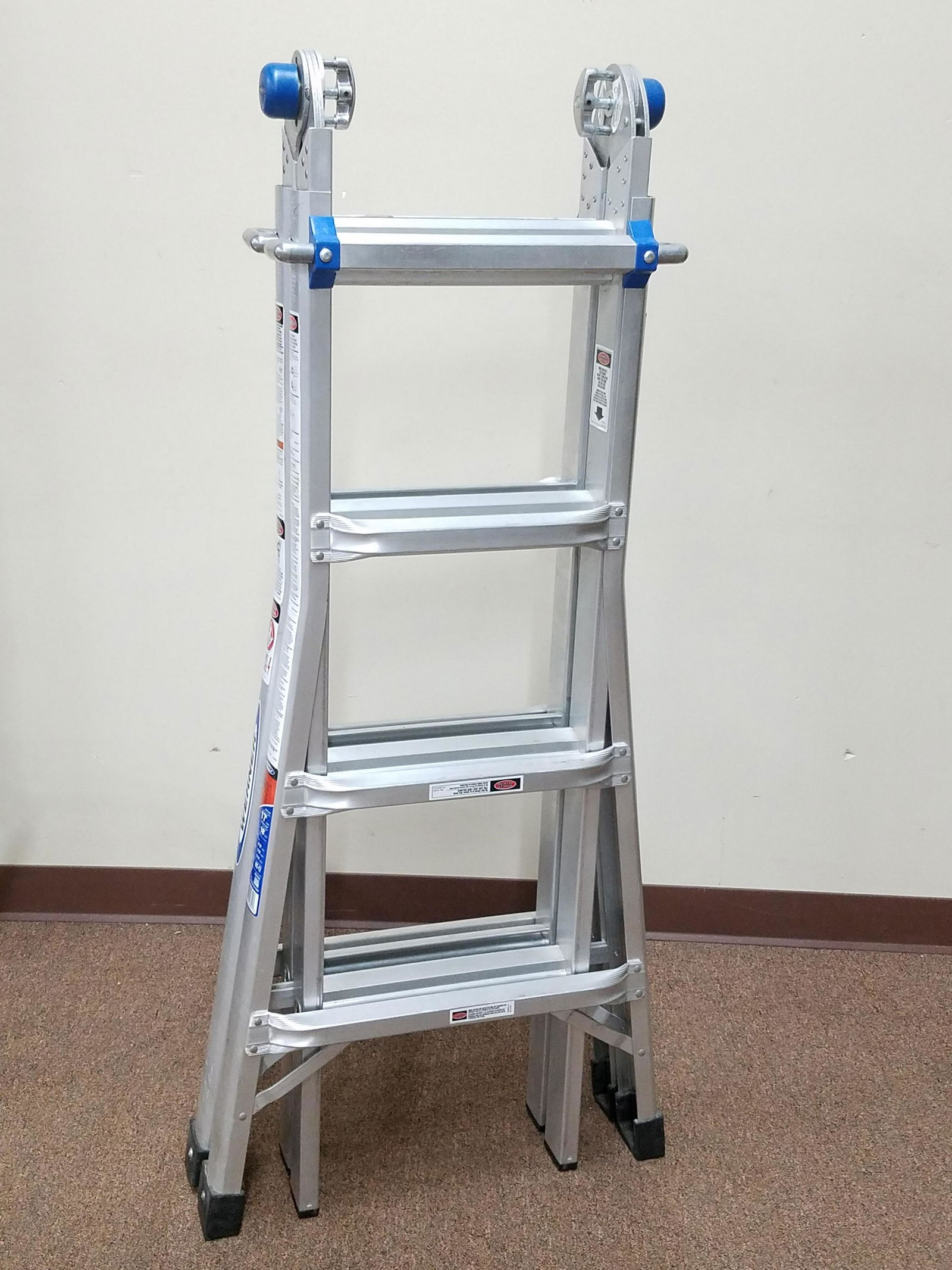 Telescoping Multi Ladder (1 of 2)