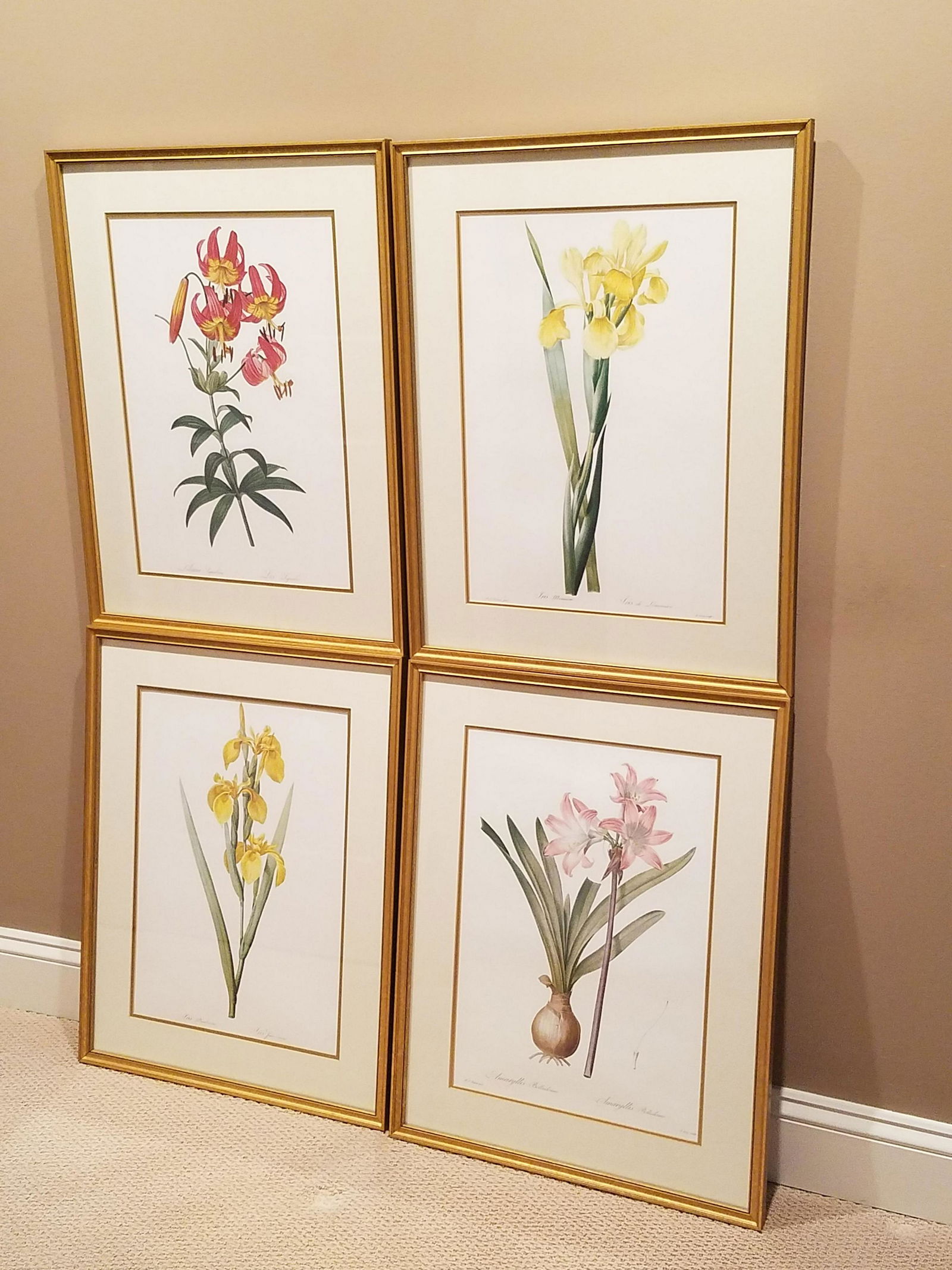 Botanical Prints incl. Iris (1 of 11)