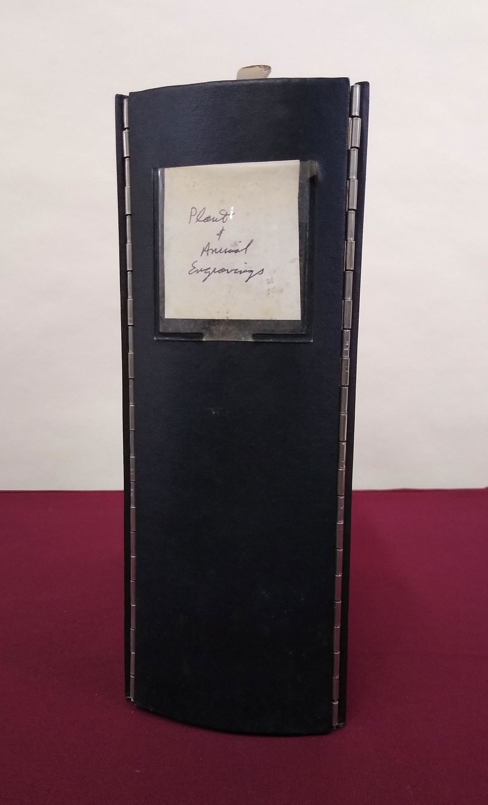 47 Plates From Nature Books (1 of 13)