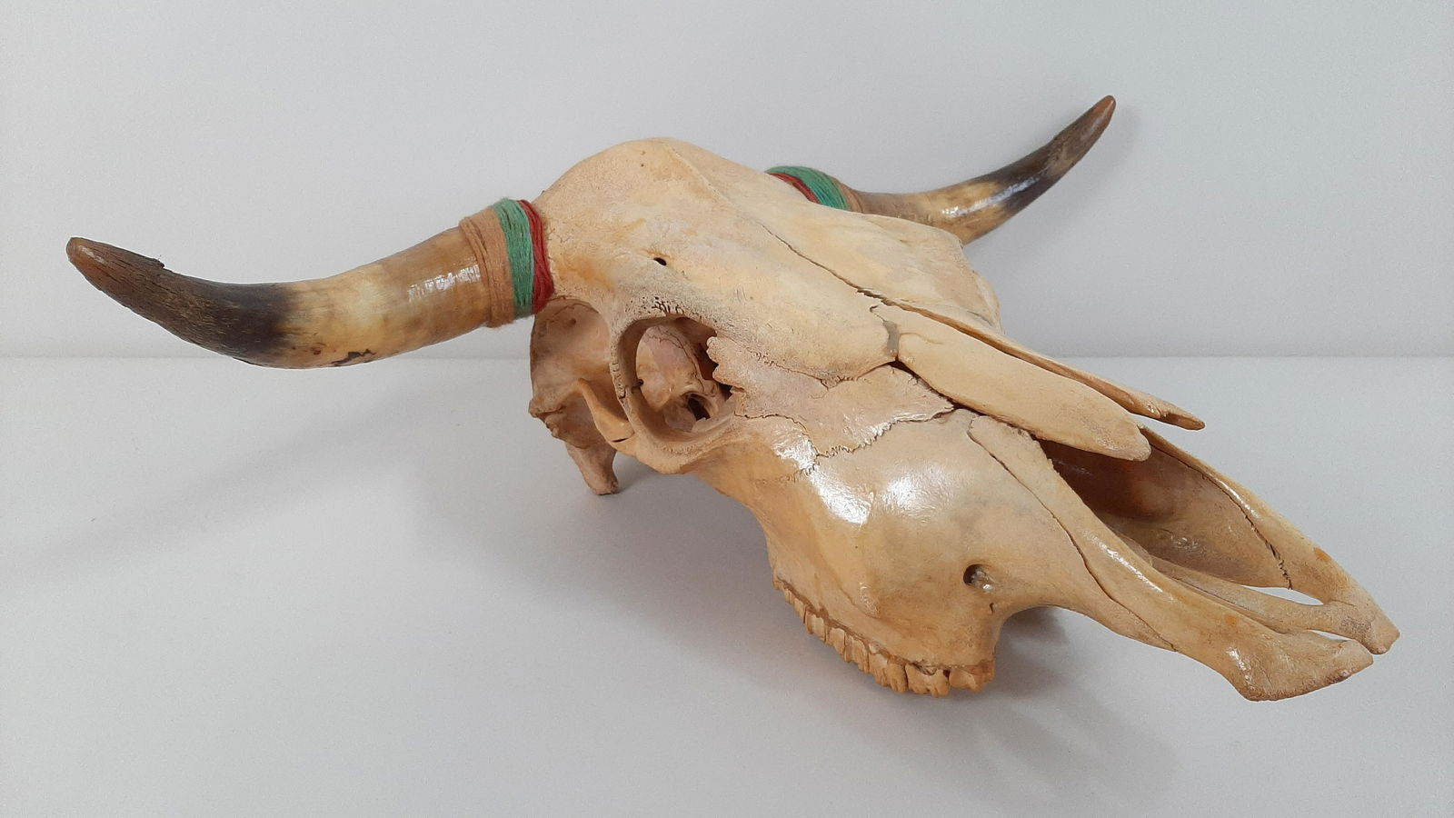 Cattle Skull (1 of 4)