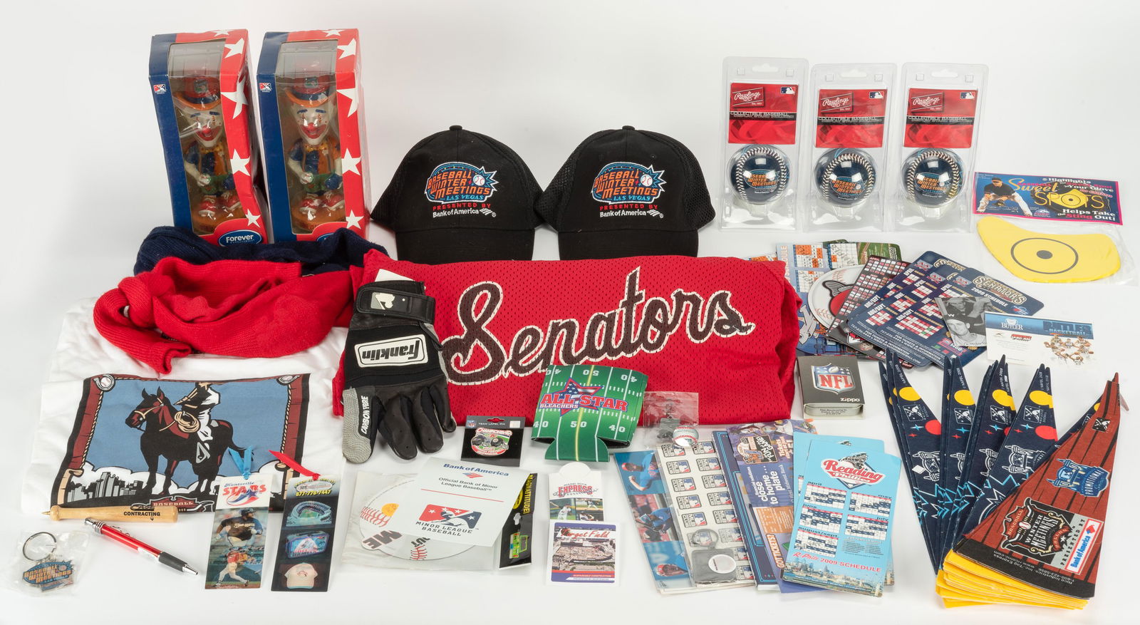 Large Group AA Baseball Minor League Items (1 of 1)