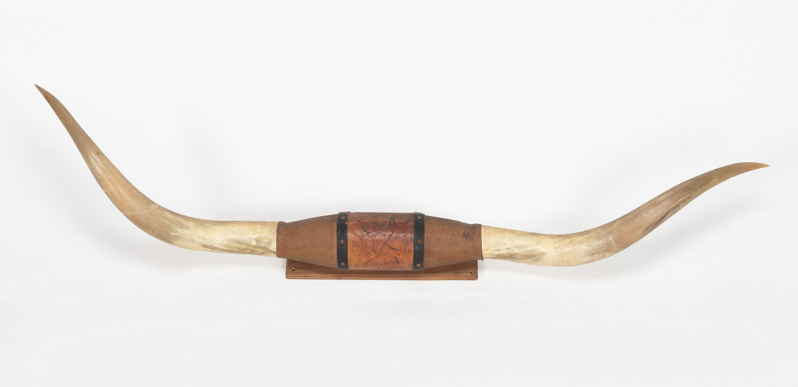66-1/2" Steer Horn Mount with Leather (1 of 2)