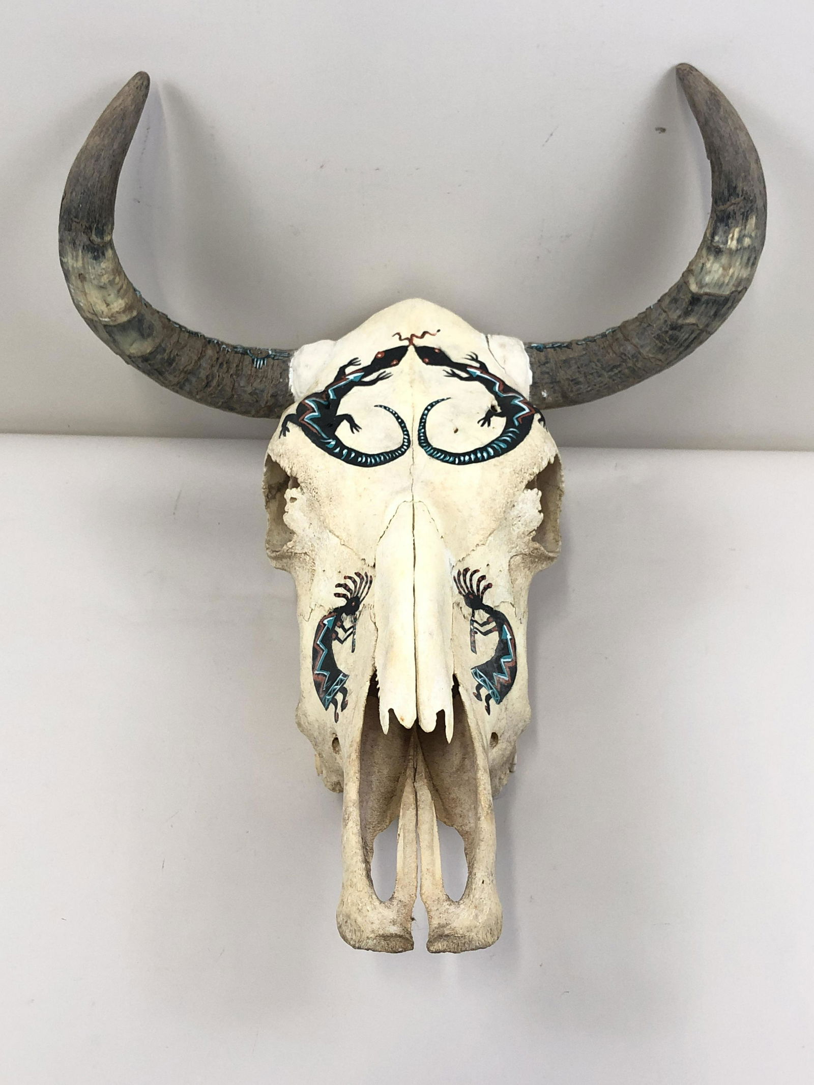 Painted Steer Skull (1 of 4)