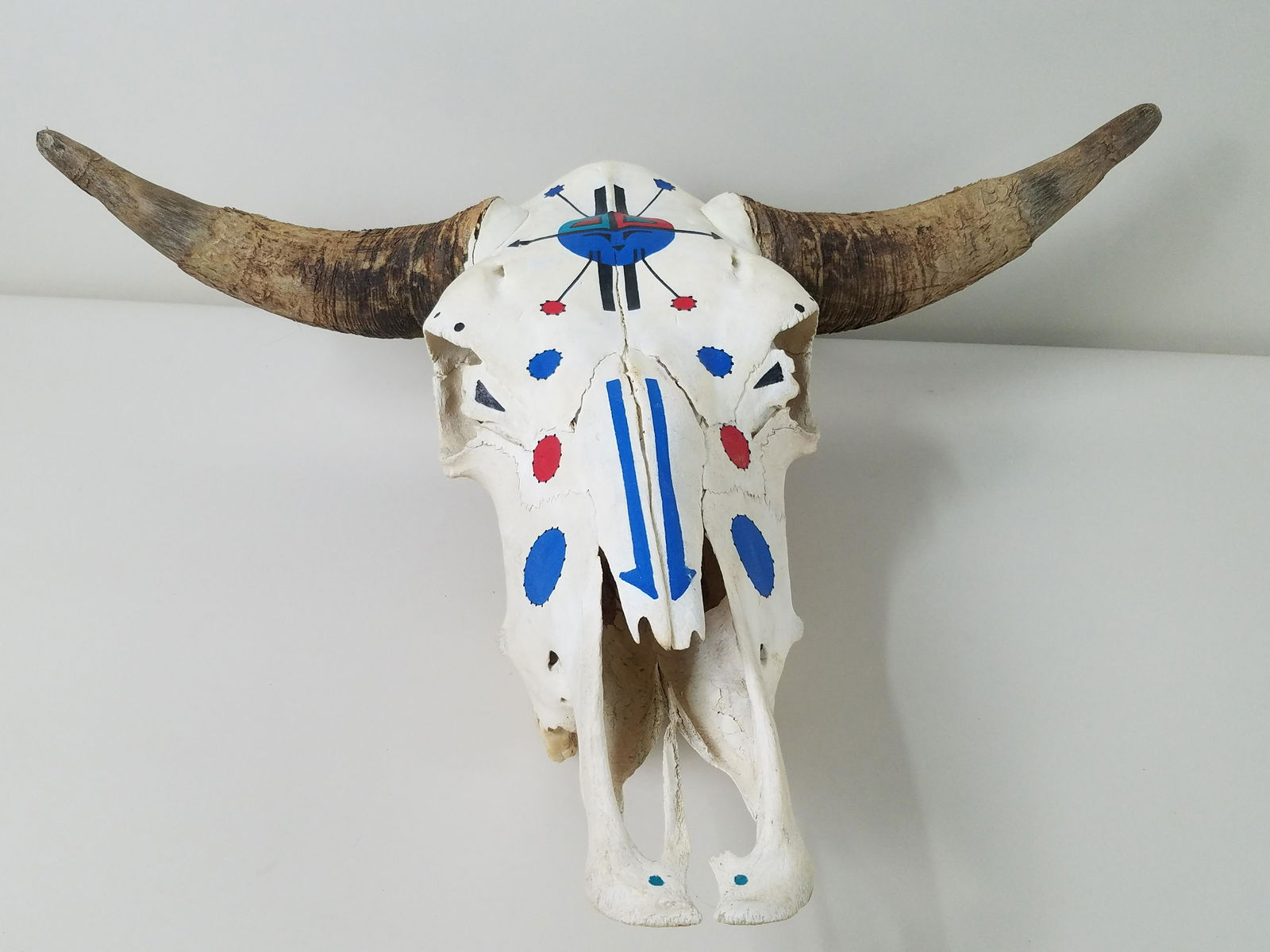 Painted Steer Skull (1 of 1)