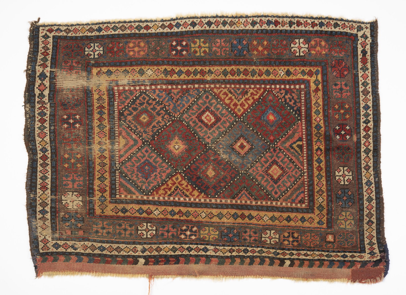 Persian Kurdistan Bagface (1 of 3)