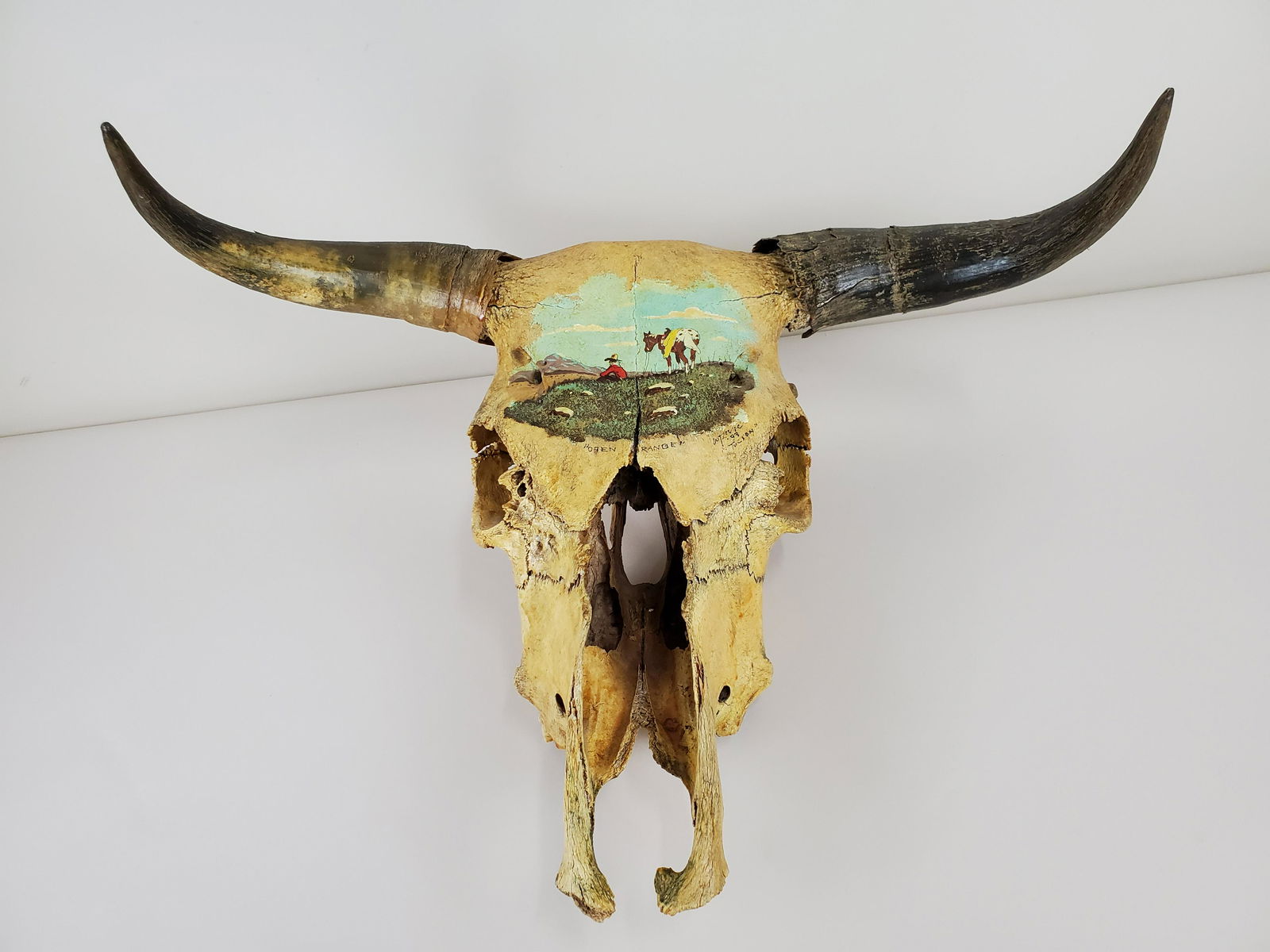 Painted Steer Skull (1 of 2)