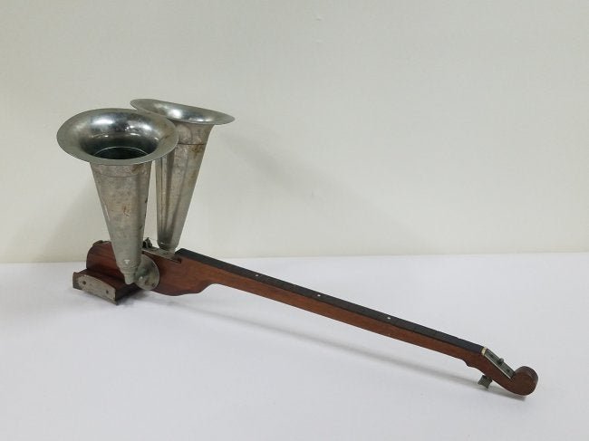 Euphonella Viol (1 of 5)