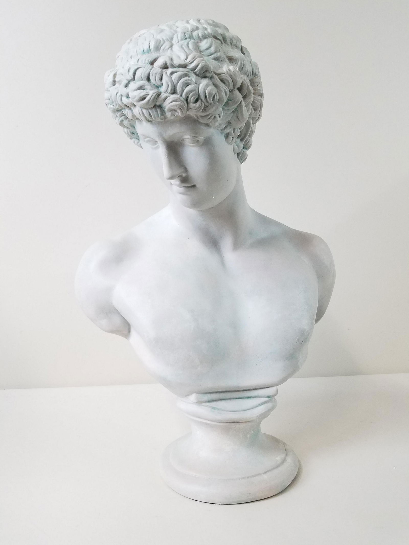 Statue of David Bust (1 of 3)