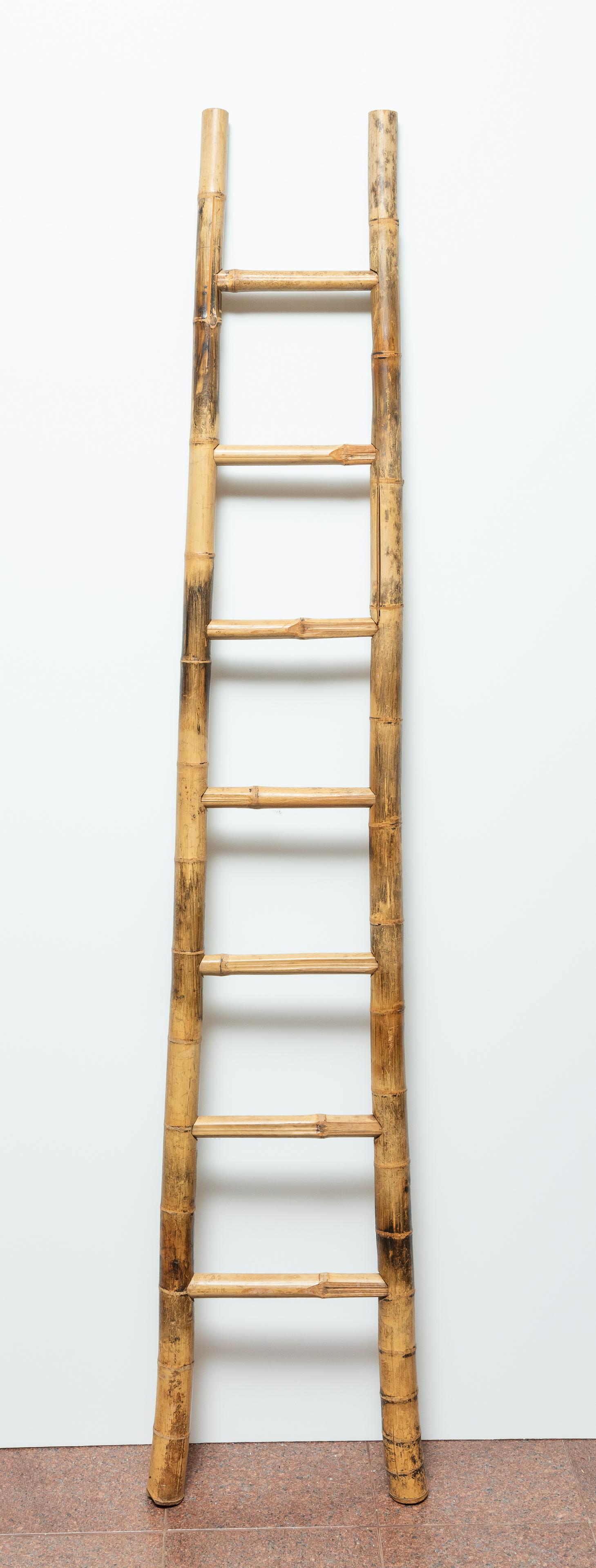 Bamboo Ladder (1 of 2)