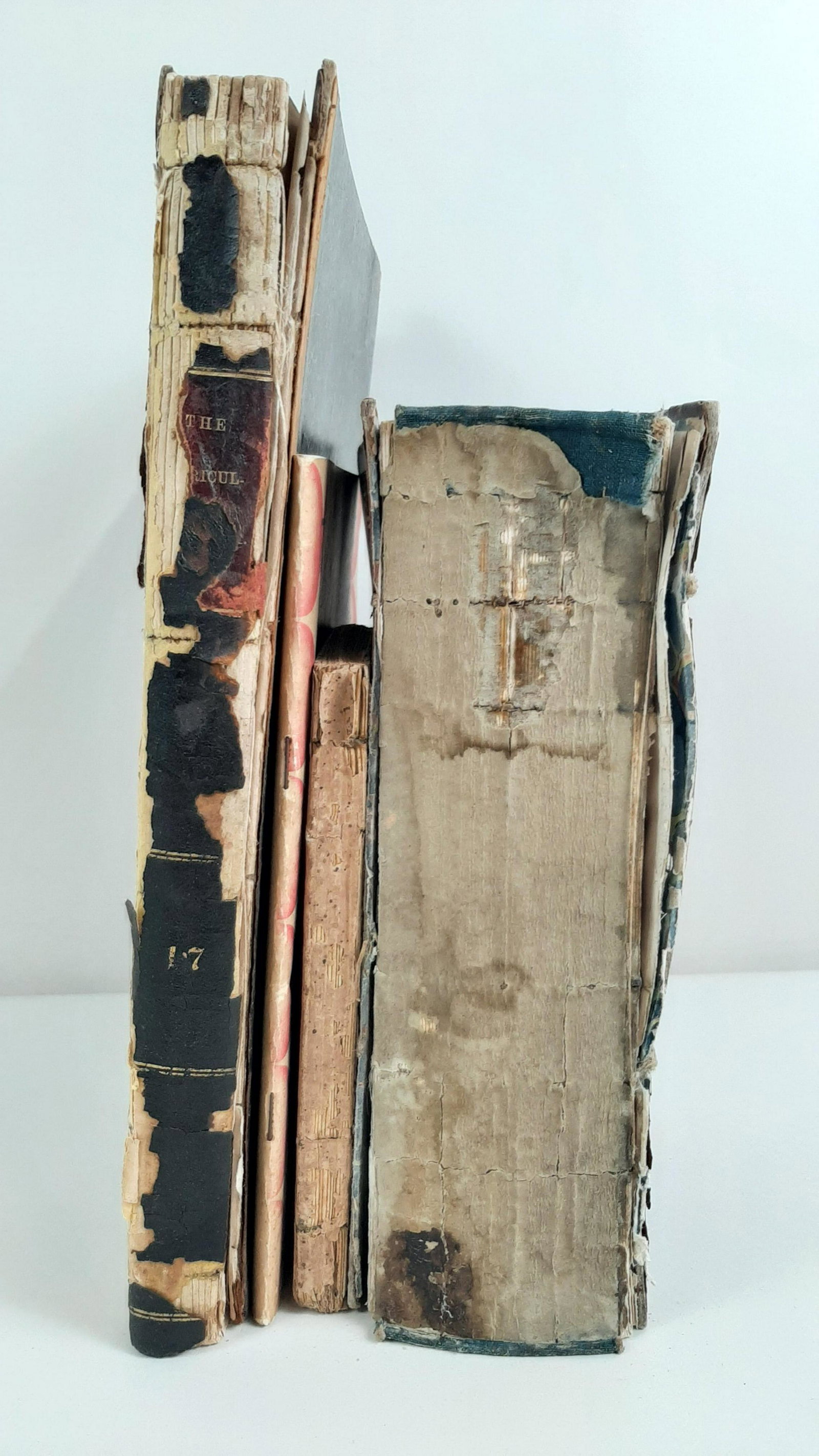 4 Books on Farming and Agriculture: Includes The Farmers' and Planters' Encyclopedia of Rural Affairs (1852), Game Bird Breeders, Pheasant Fanciers and Agiculturalists' Gazette (May 1952), an Essay on Sheep by Robert R. Livingstone (181
