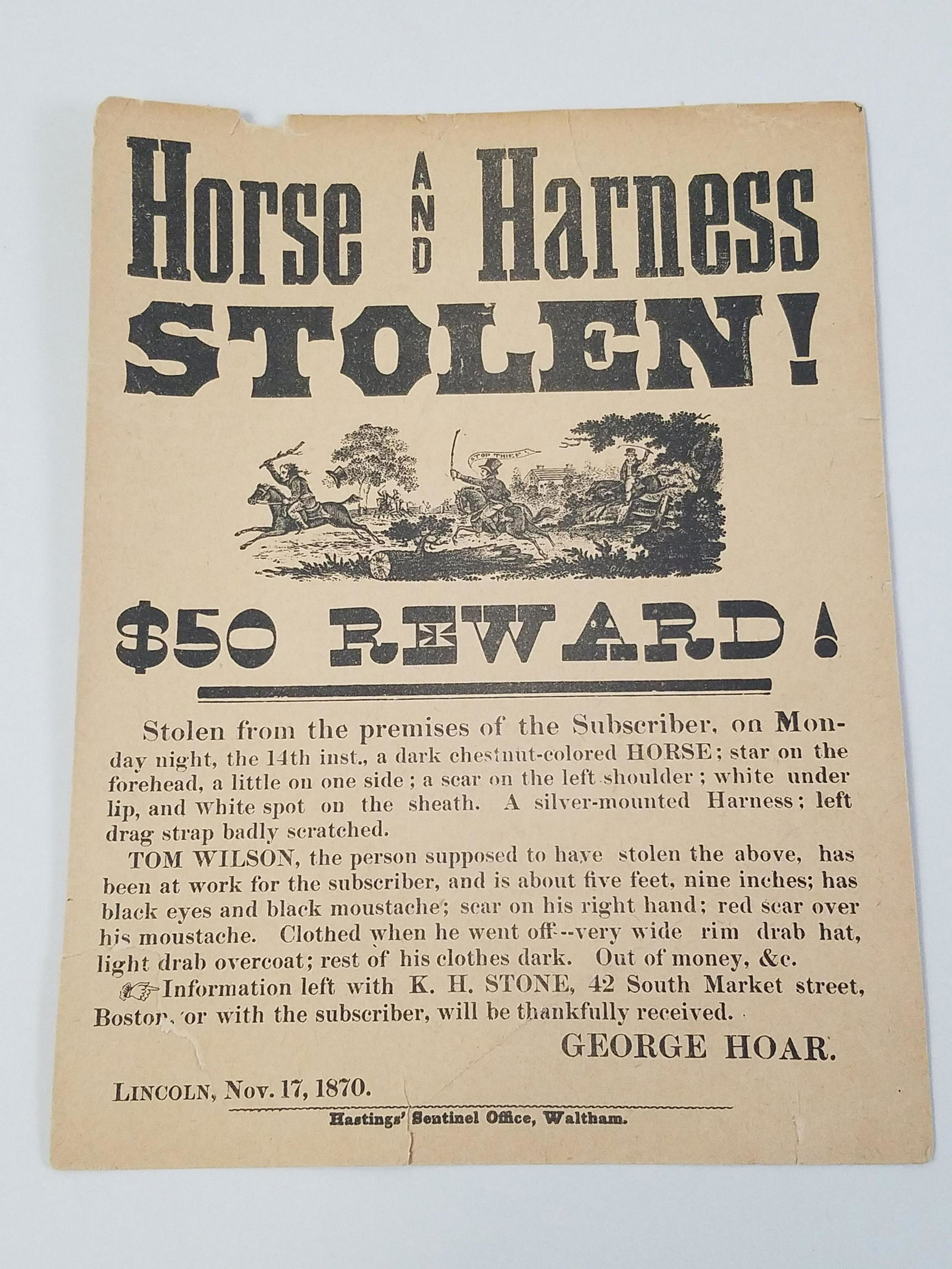 "Horse and Harness Stolen" Broadside (1 of 2)