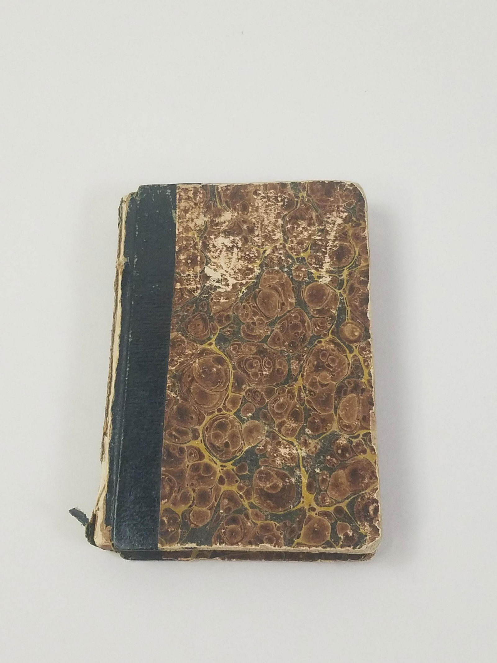 1835 Journal with Hand Drawn Illustrations (1 of 5)