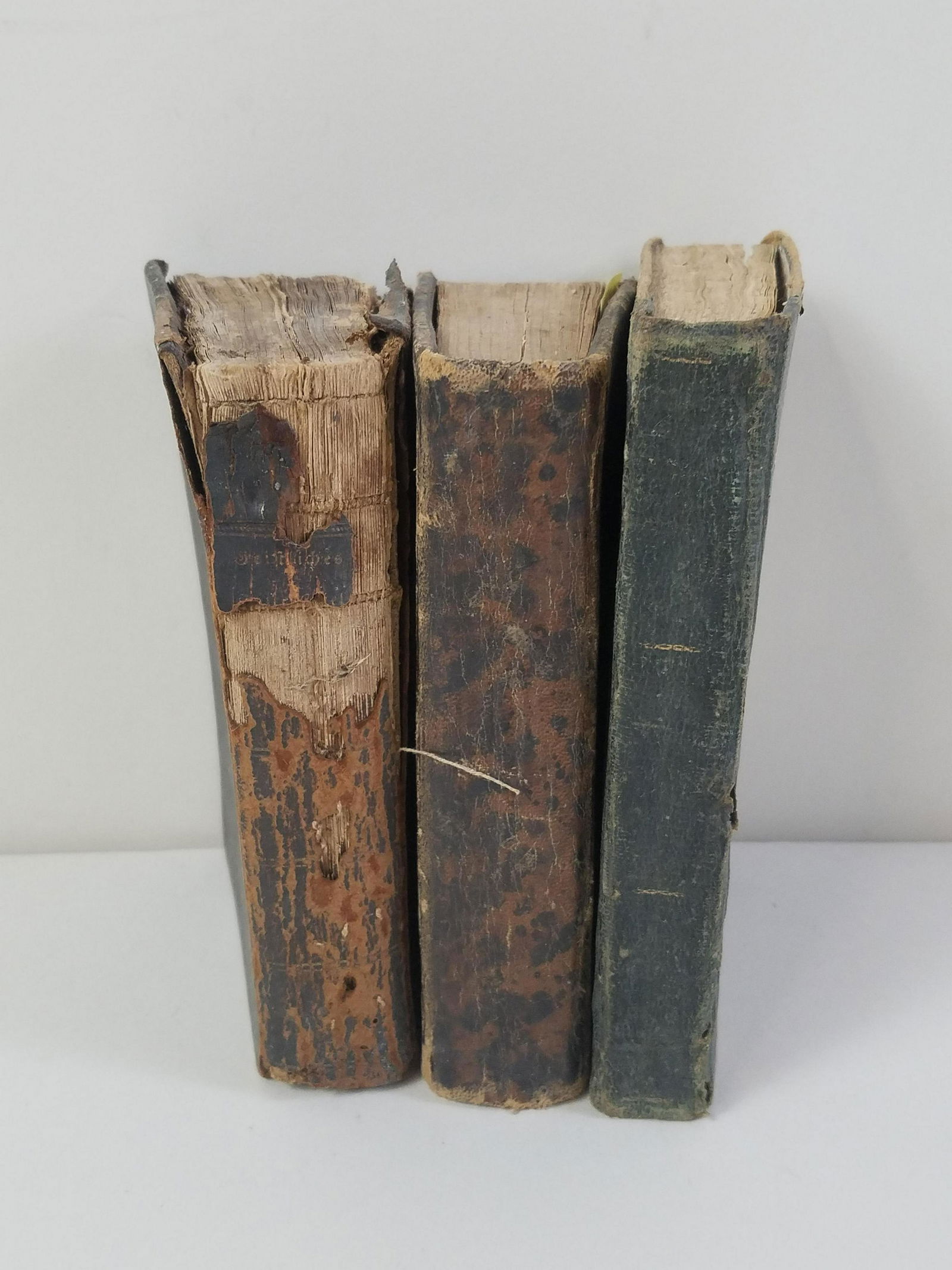 3 19th C Religious Books (1 of 8)