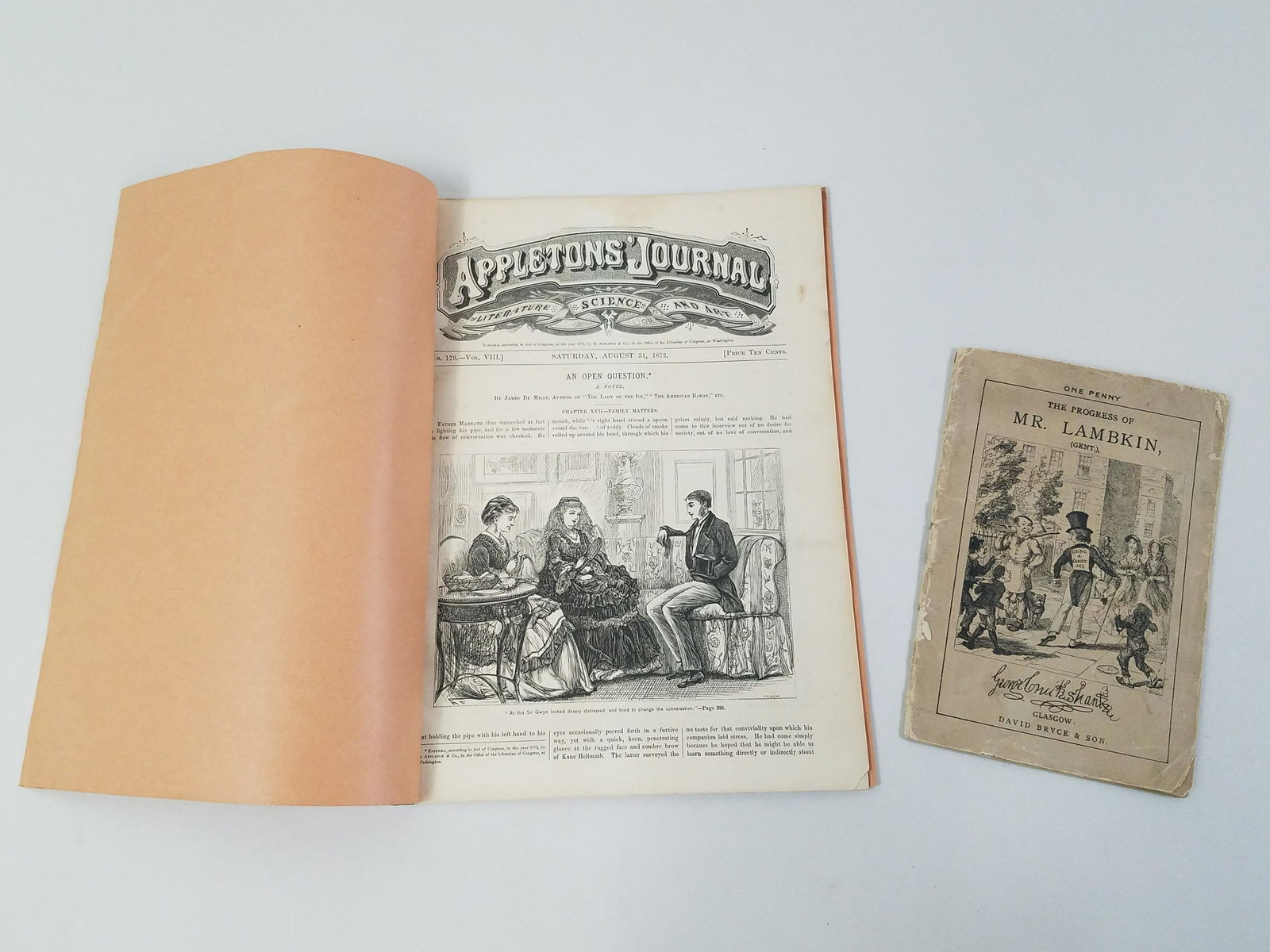 Appletons Journal and Mr. Lambkin Penny Magazine (1 of 15)