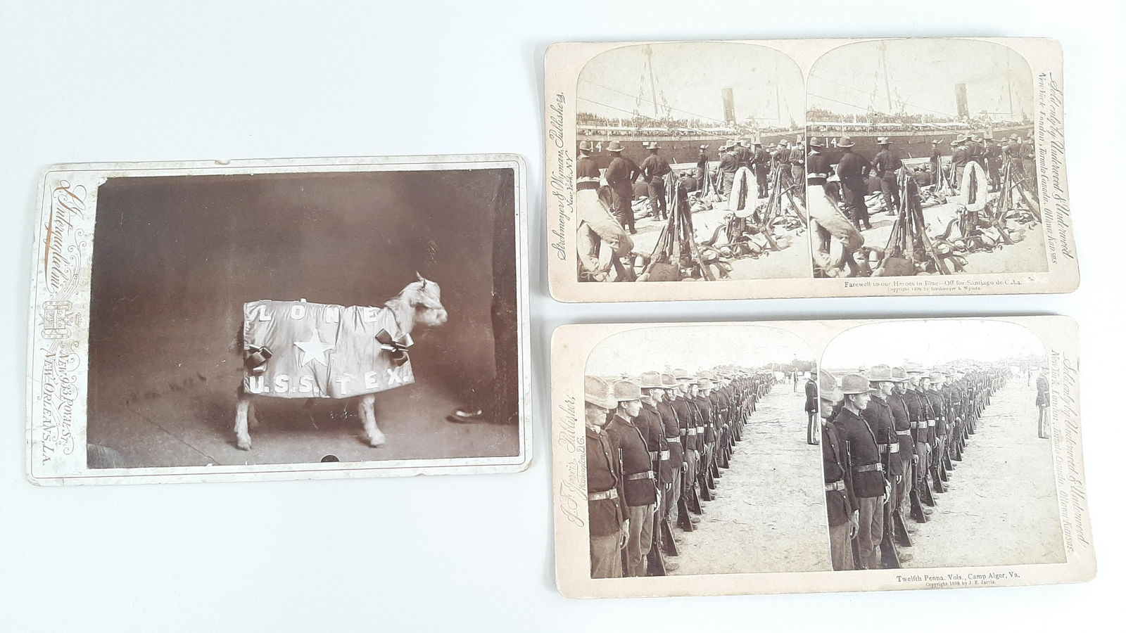 2 Stereo Cards and Lone Star Goat Photo (1 of 5)