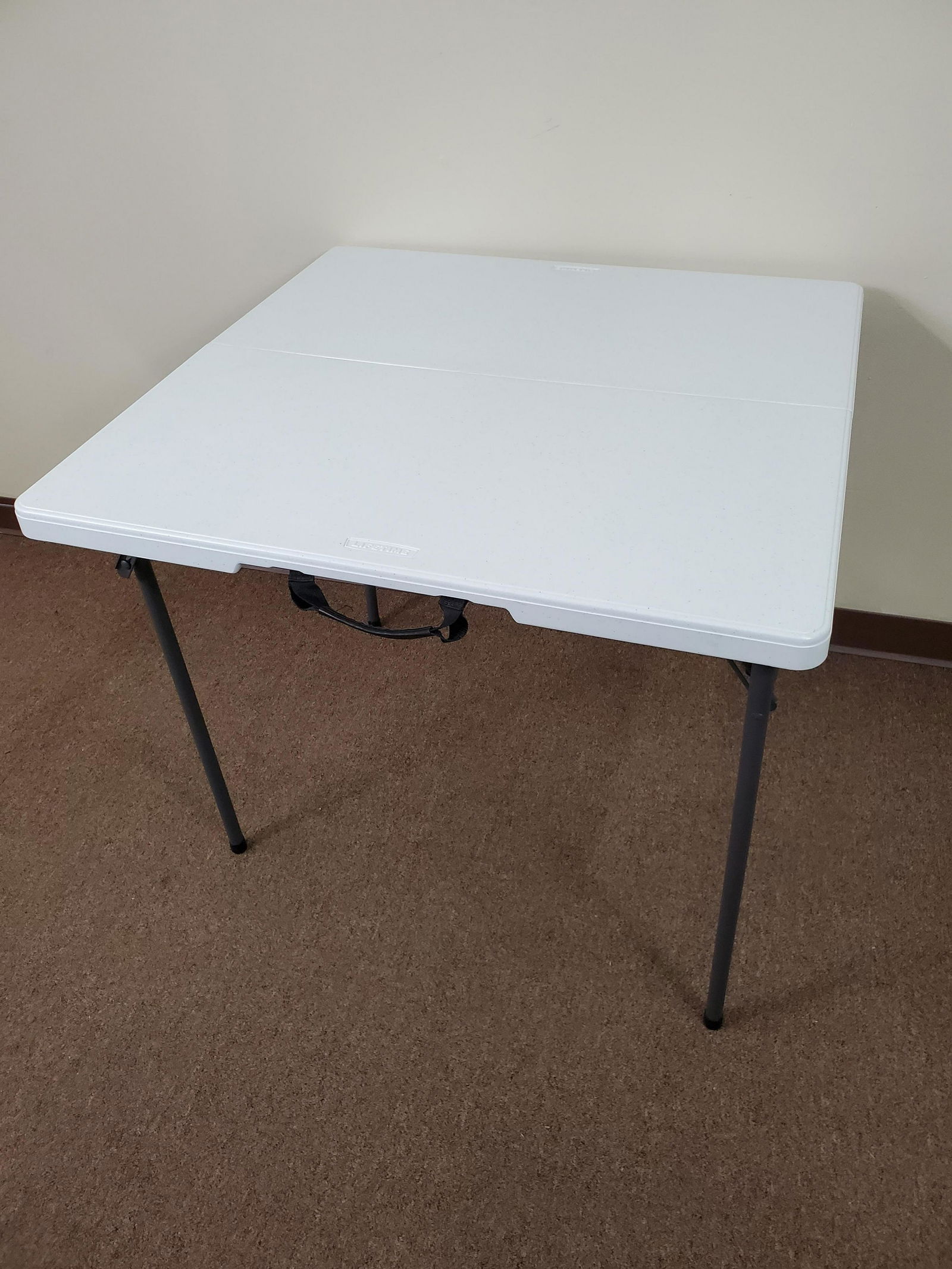 Lifetime Folding Table (1 of 3)