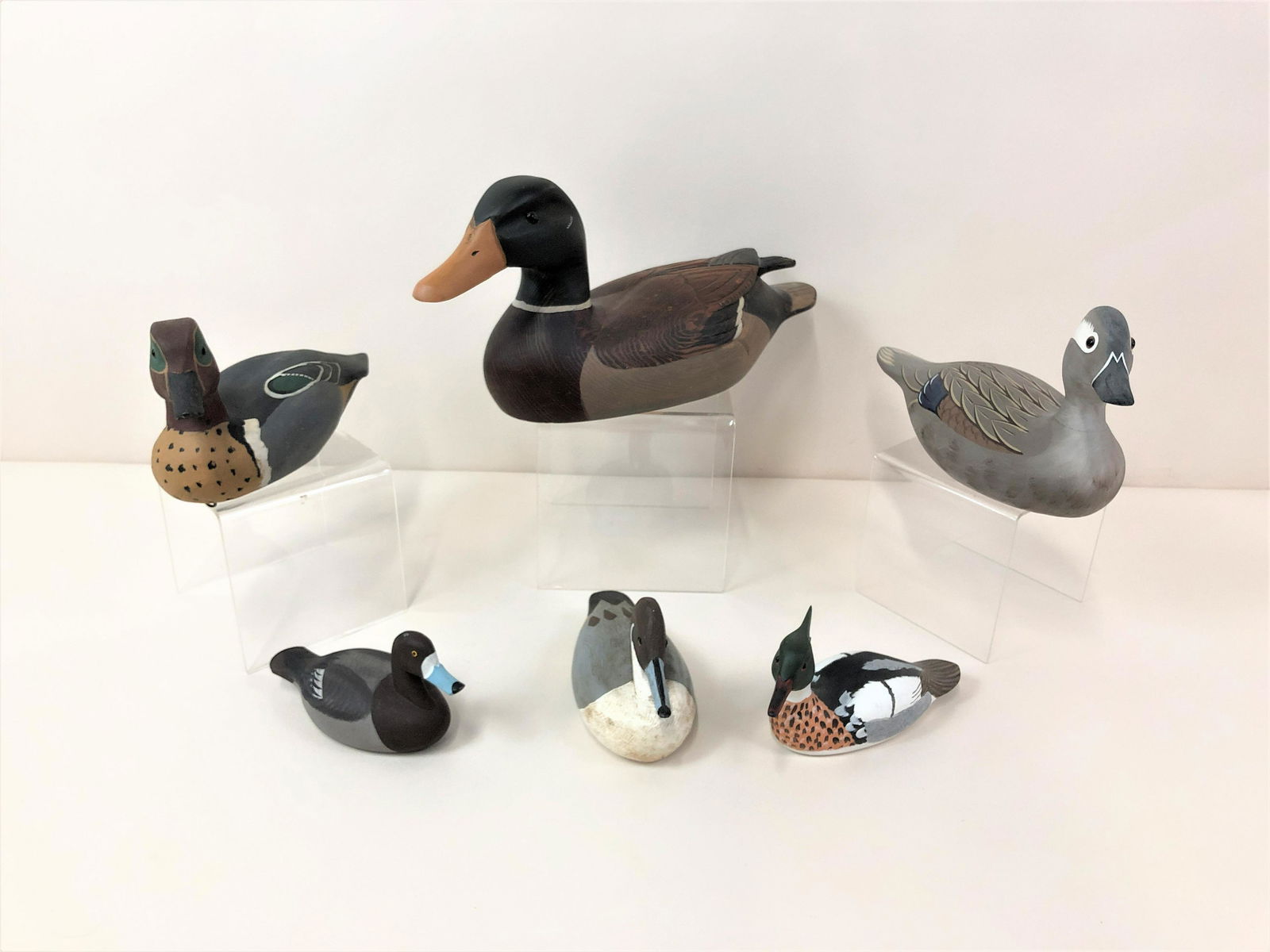 6 Duck Decoys (1 of 11)