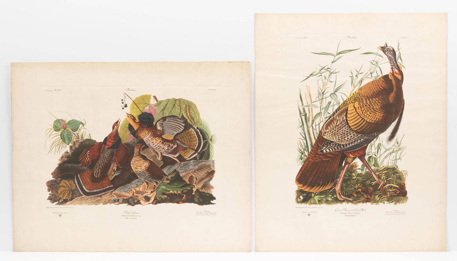 2 American Craft Print Guild Audubon Prints (1 of 3)