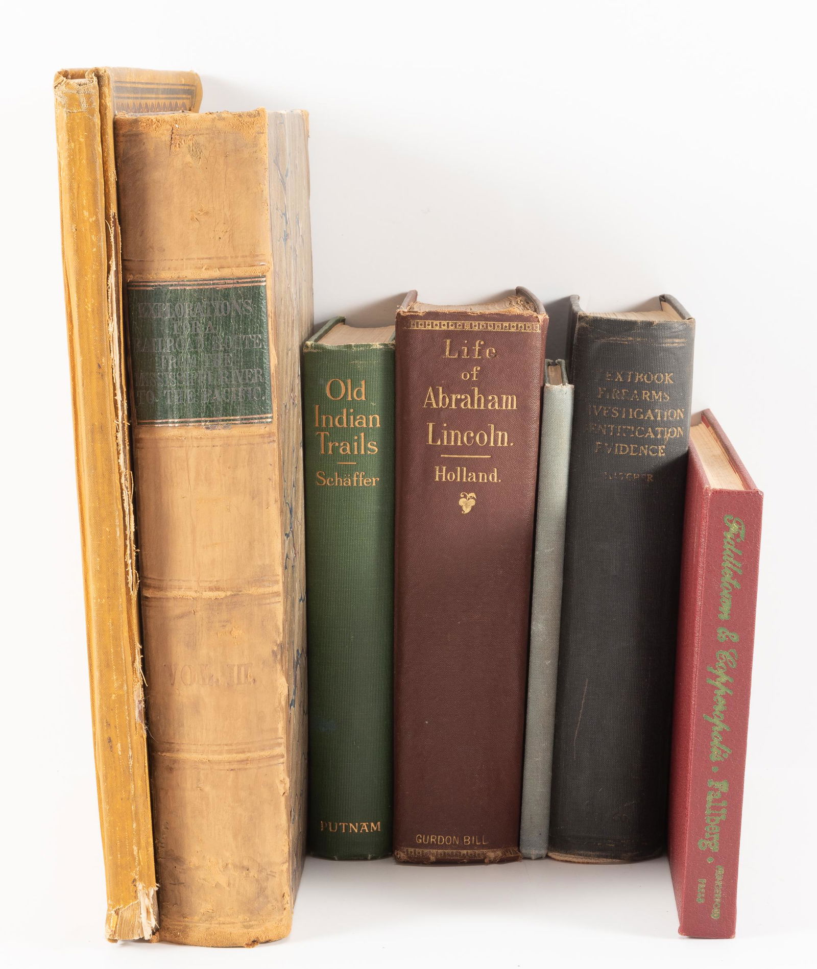 7 19th Century Books (1 of 20)