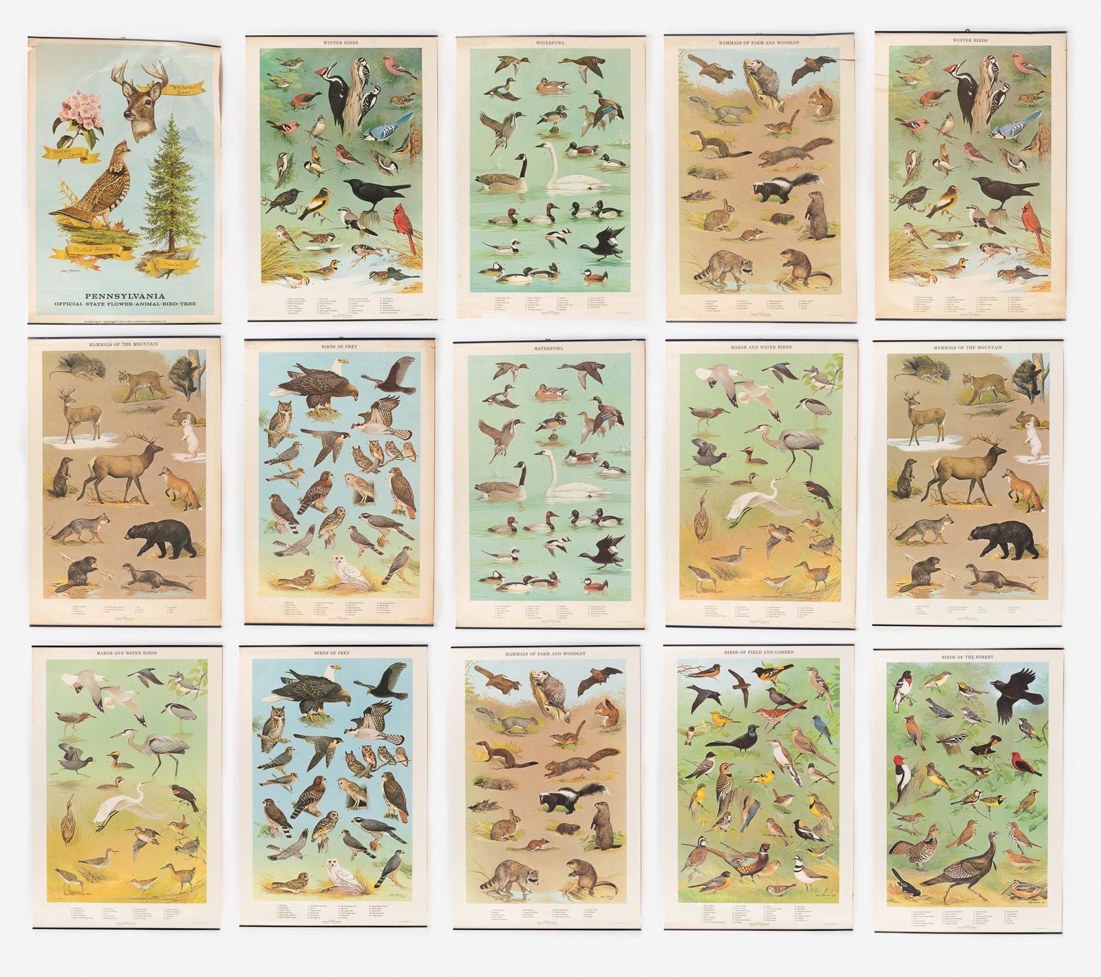 14 Ned Smith PA Game Commission Posters (1 of 16)