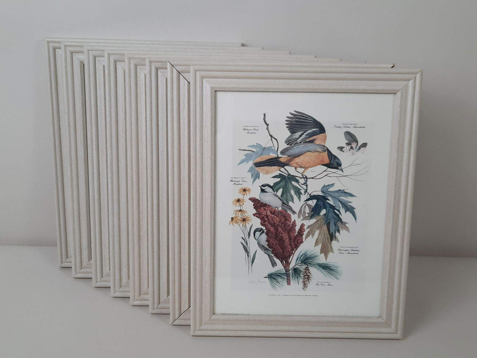 8 Arthur Singer Bird Prints (1 of 8)