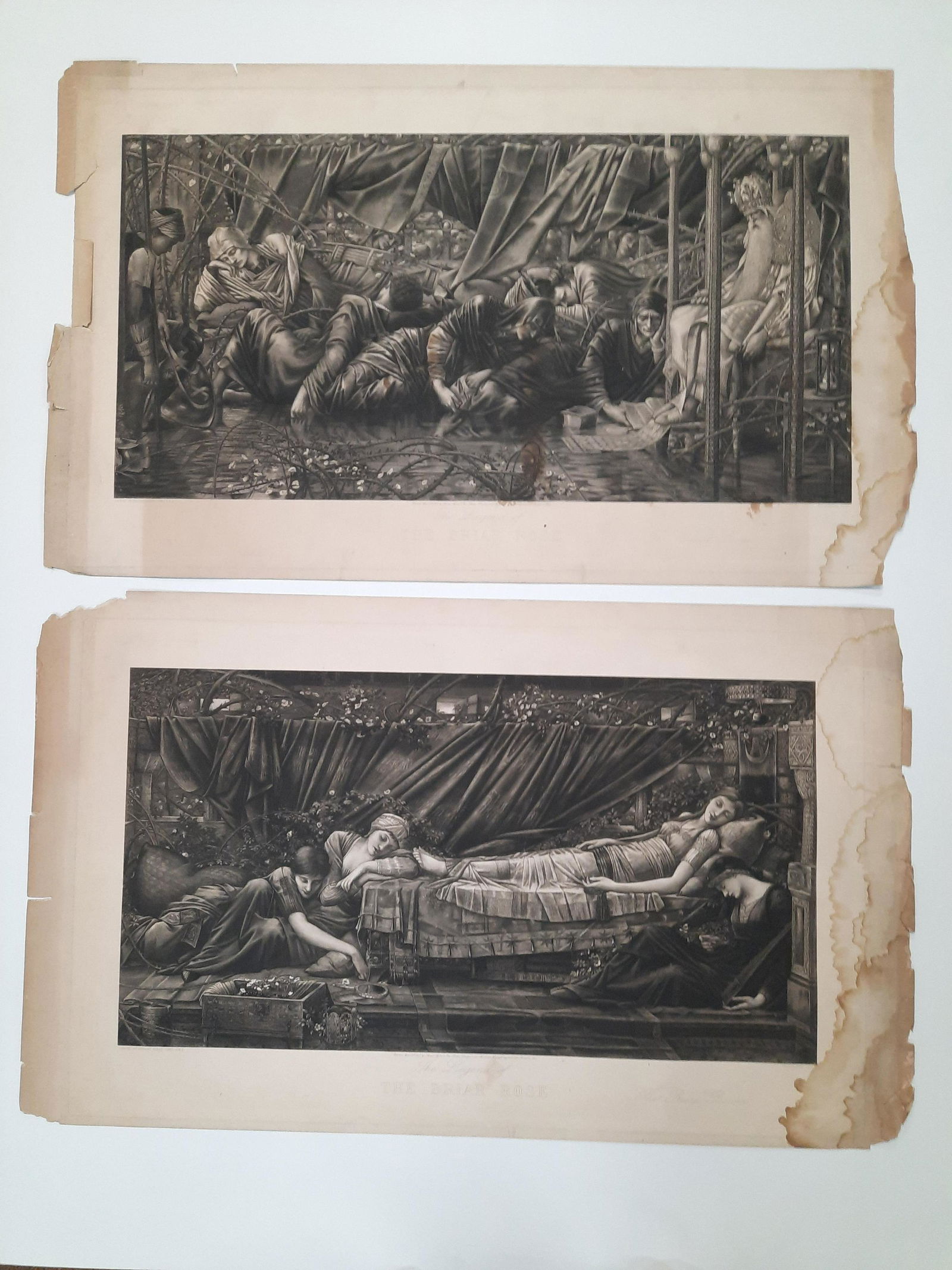 W Edward Burne Jones Briar Rose Photogravures: Published 1892 by Thomas Agnew and Sons. London. Each 23-3/4" high x 39-1/4" wide. Both with losses, staining, and tears. IMPORTANT: Before bidding, please read the terms and conditions. When you regi