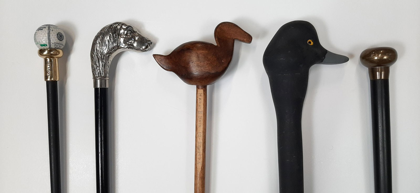 5 Canes and Walking Sticks (1 of 4)