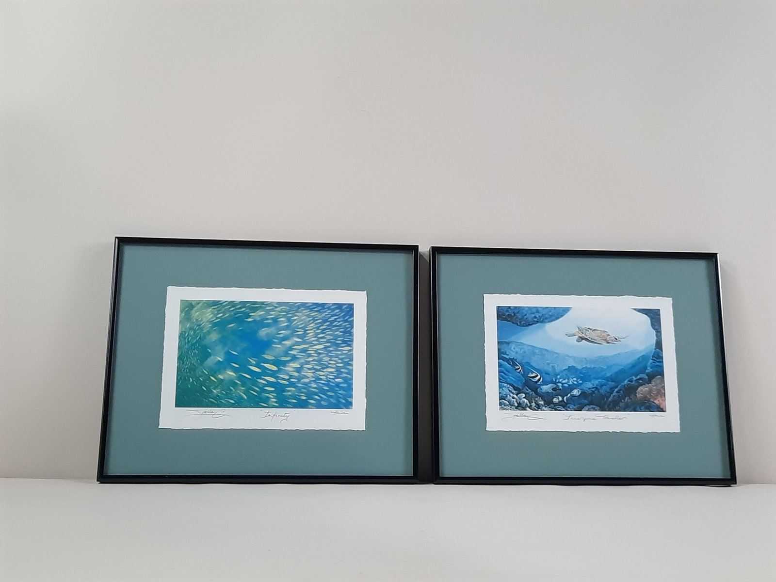 Joëlle Chicheportiche Perz Hawaiian Sea Life Print: Prints Includes "Infinity" and "Innerspace Traveller". Each overall with frame 11-1/4" high x 14-1/4" wide. IMPORTANT: Before bidding, please read the terms and conditions. When you registered for the