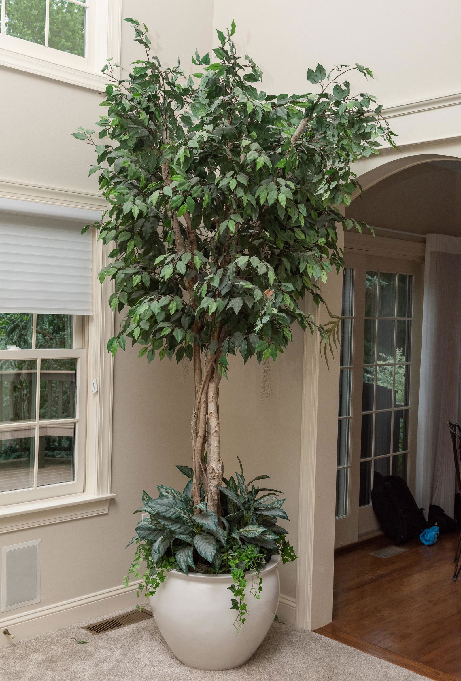 Artificial Ficus in Pot (1 of 1)